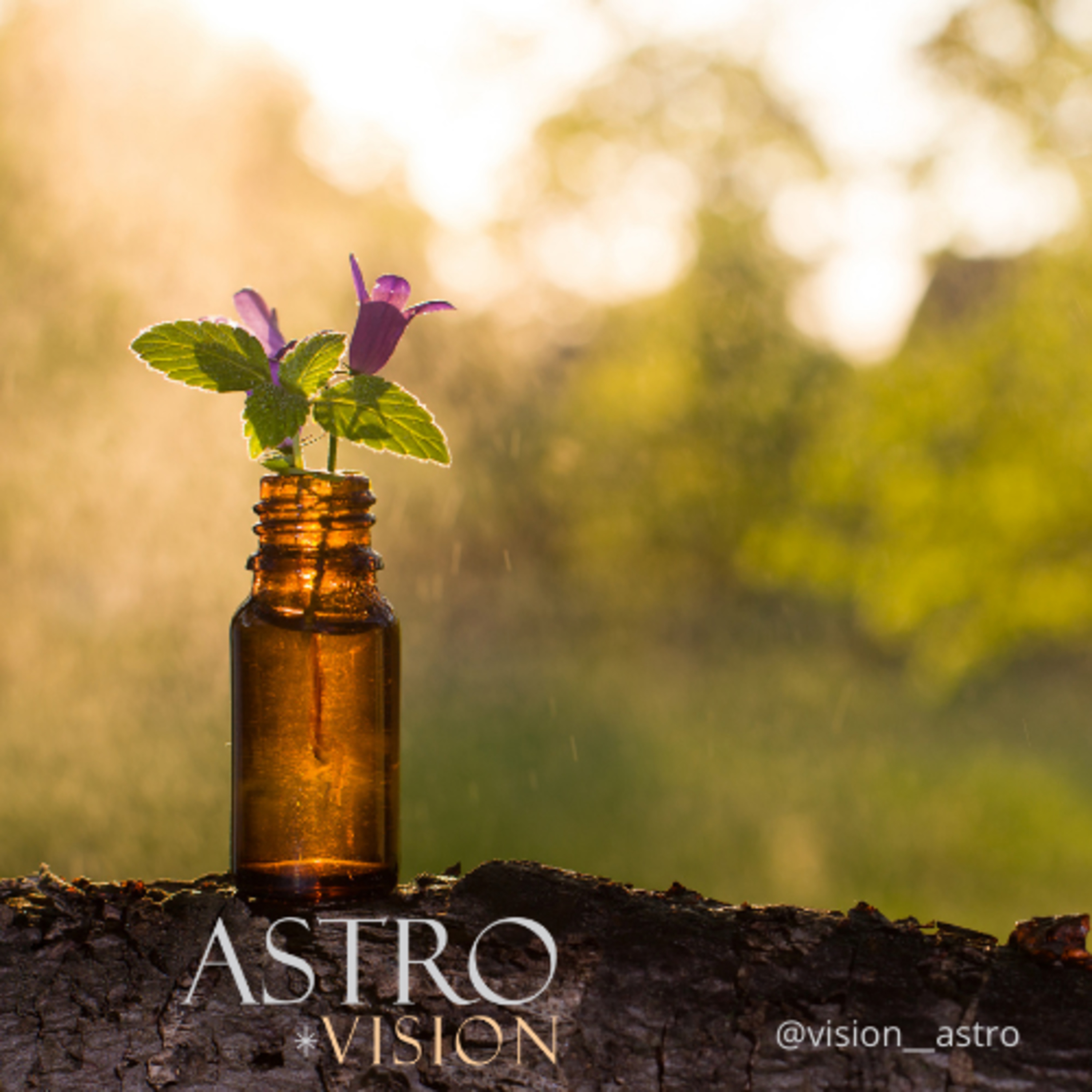 Astro Vision - Astrologia e Autoconhecimento