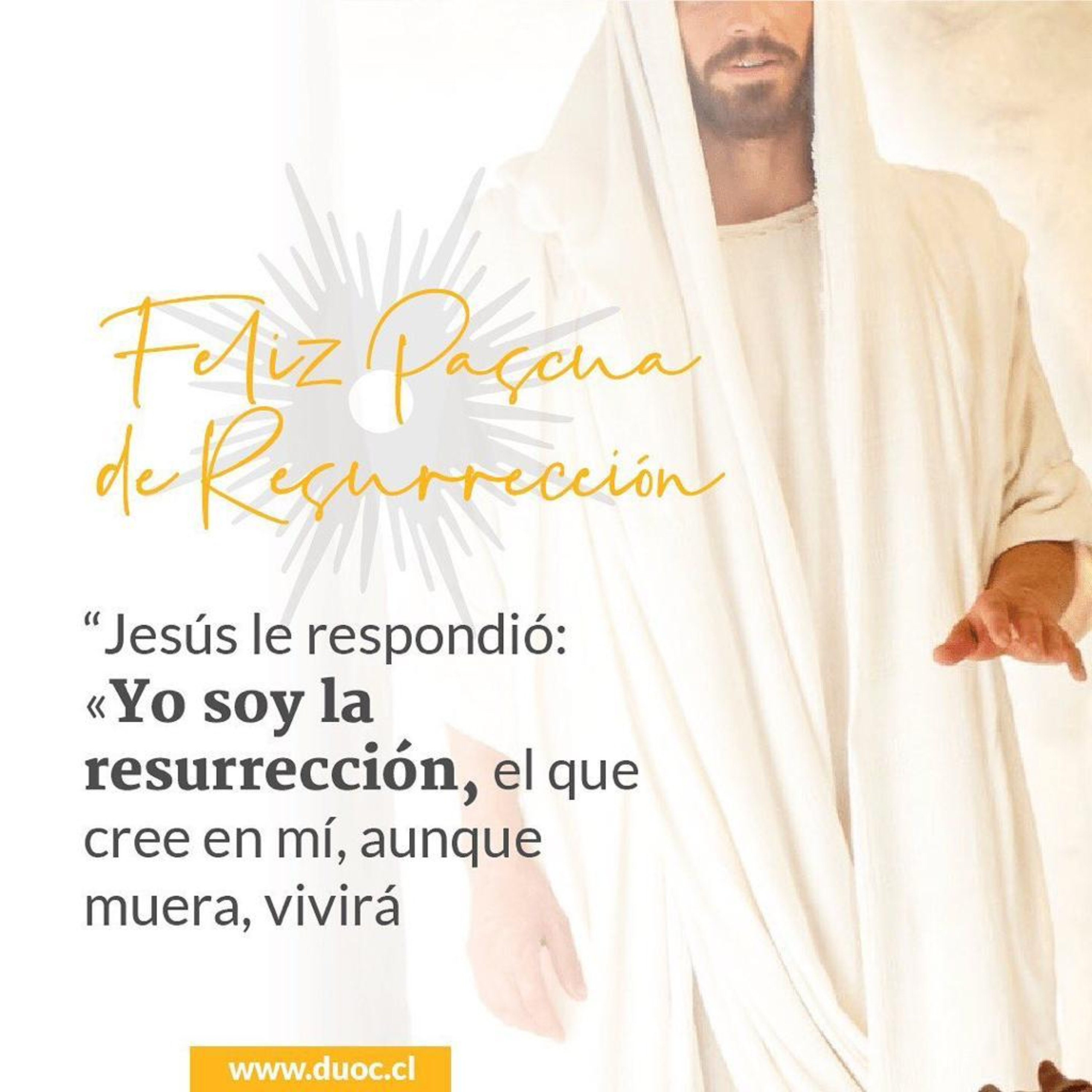 Reflexión Evangelio Cotidiano