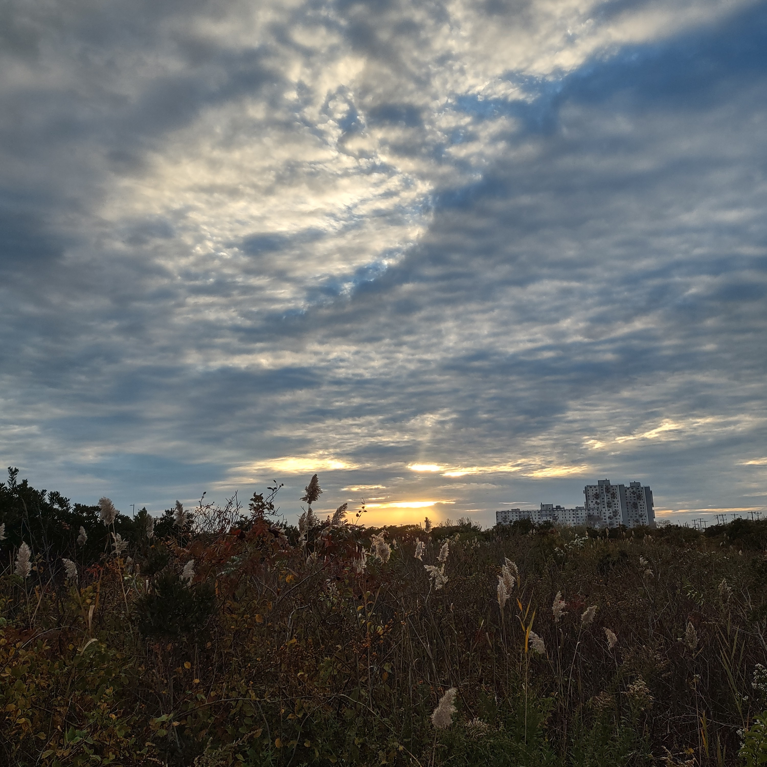 Windsong