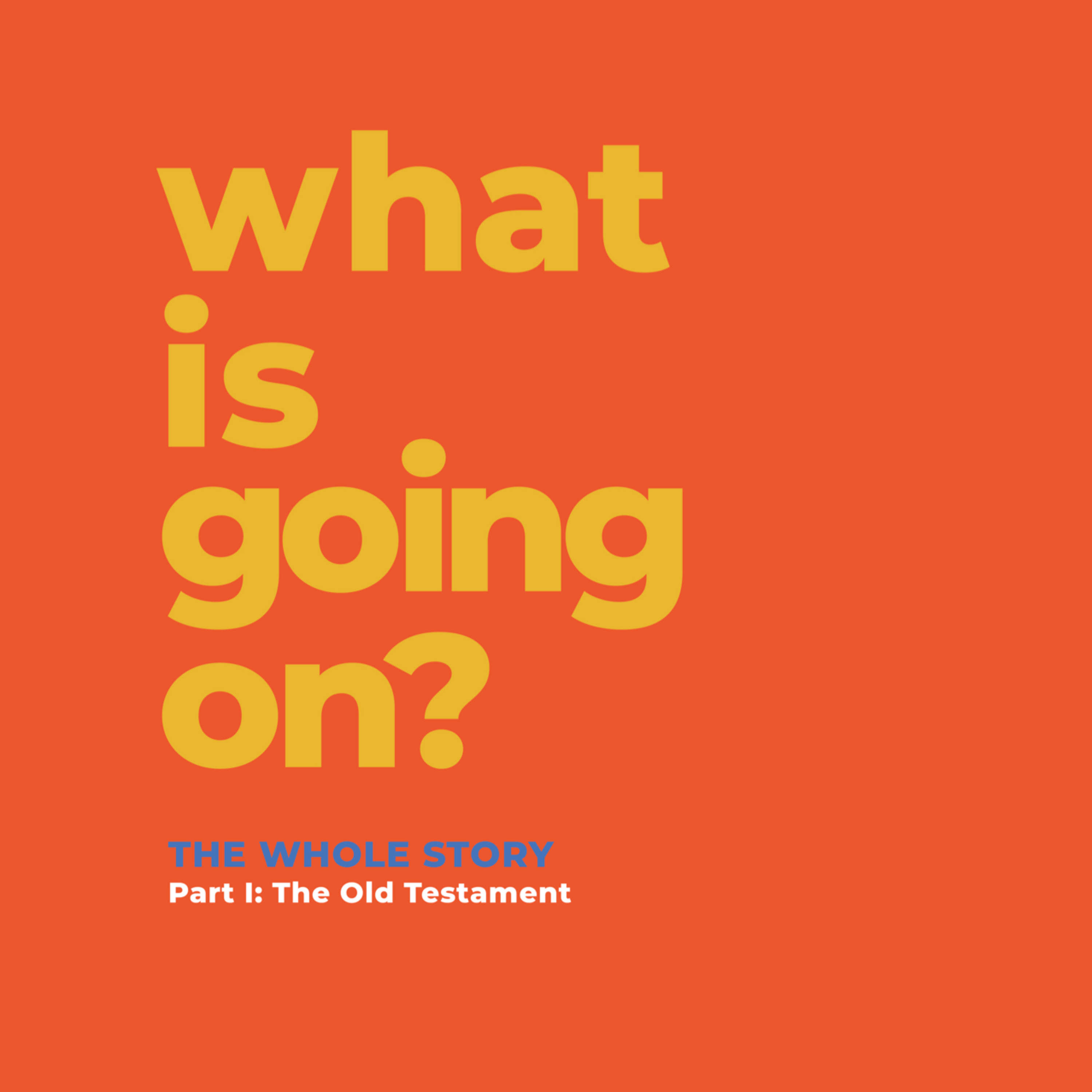 What Is Going On? - The Whole Story - Proverbs episode artwork