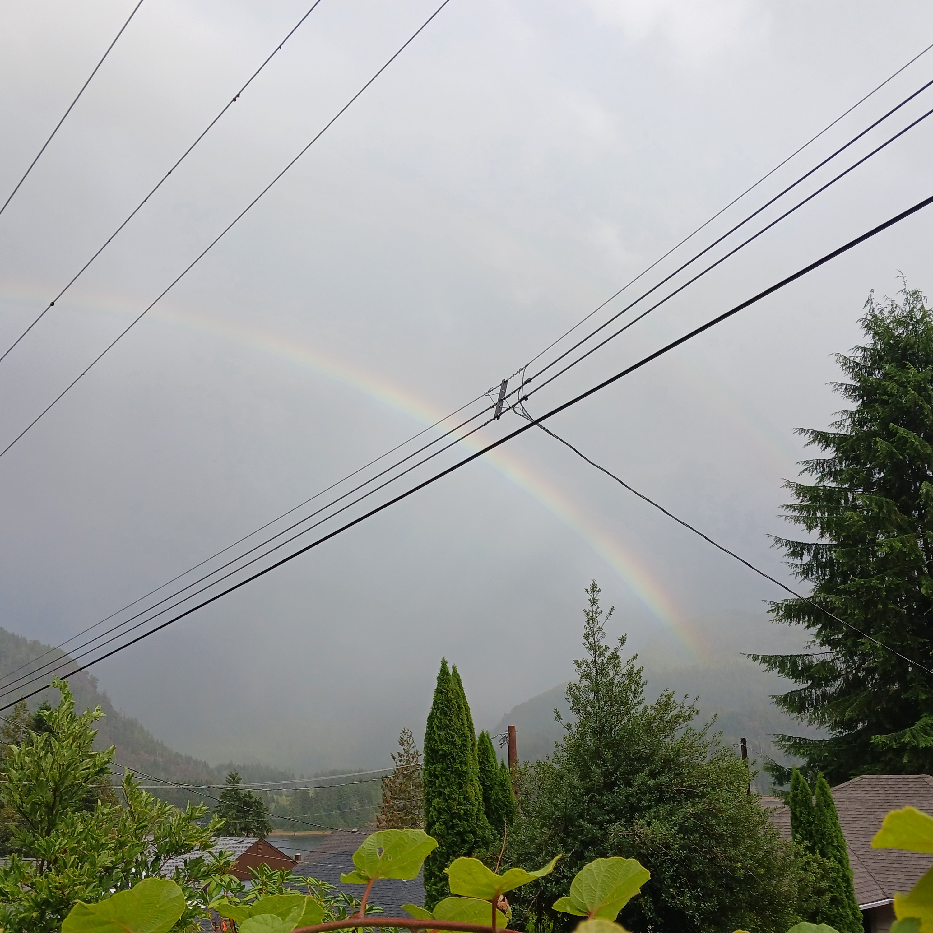 🌧Vancouver Island 🌈West 🌠early years☔️ with Fatima🌪and Climate caucus small & rural food secure. episode artwork