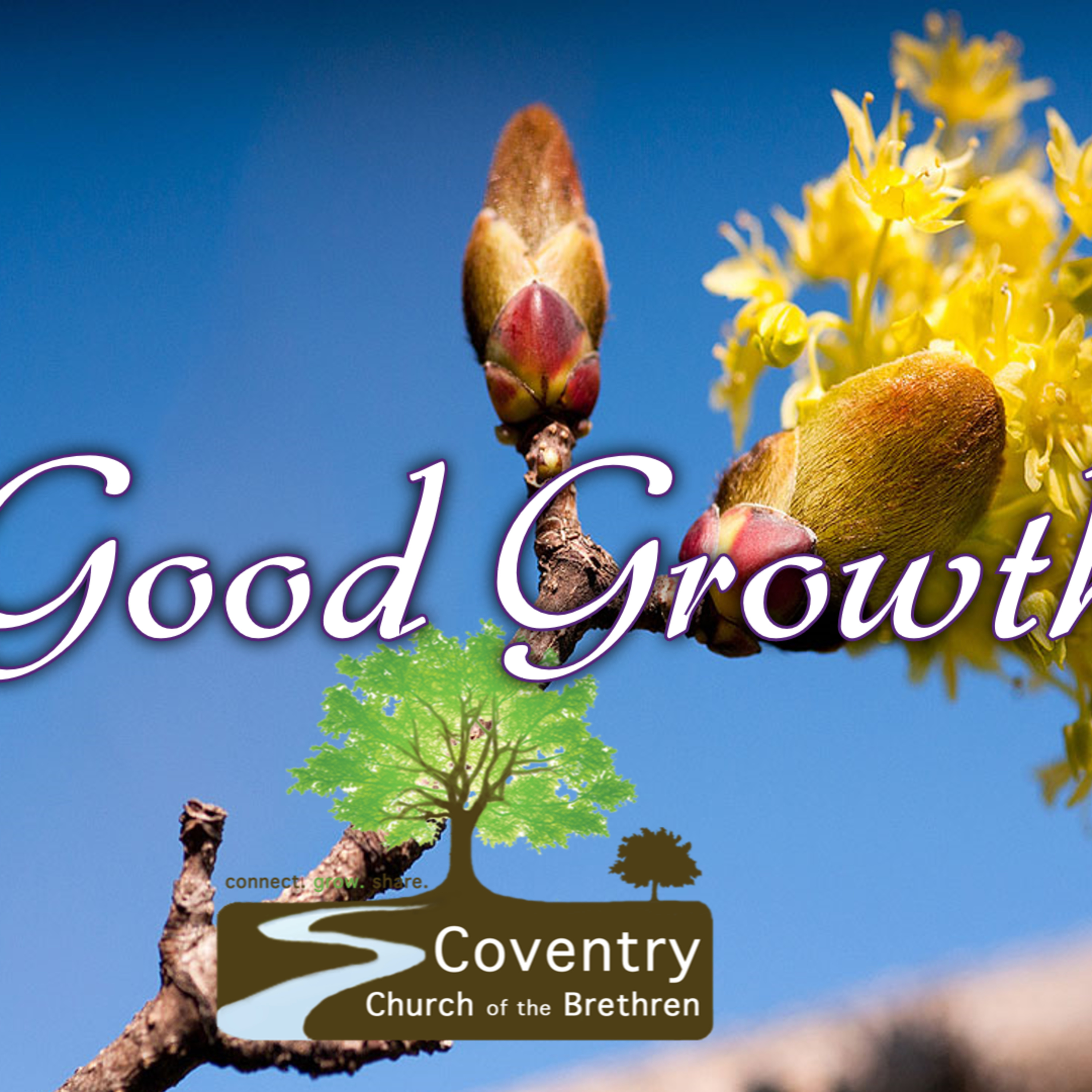 Good Growth episode artwork
