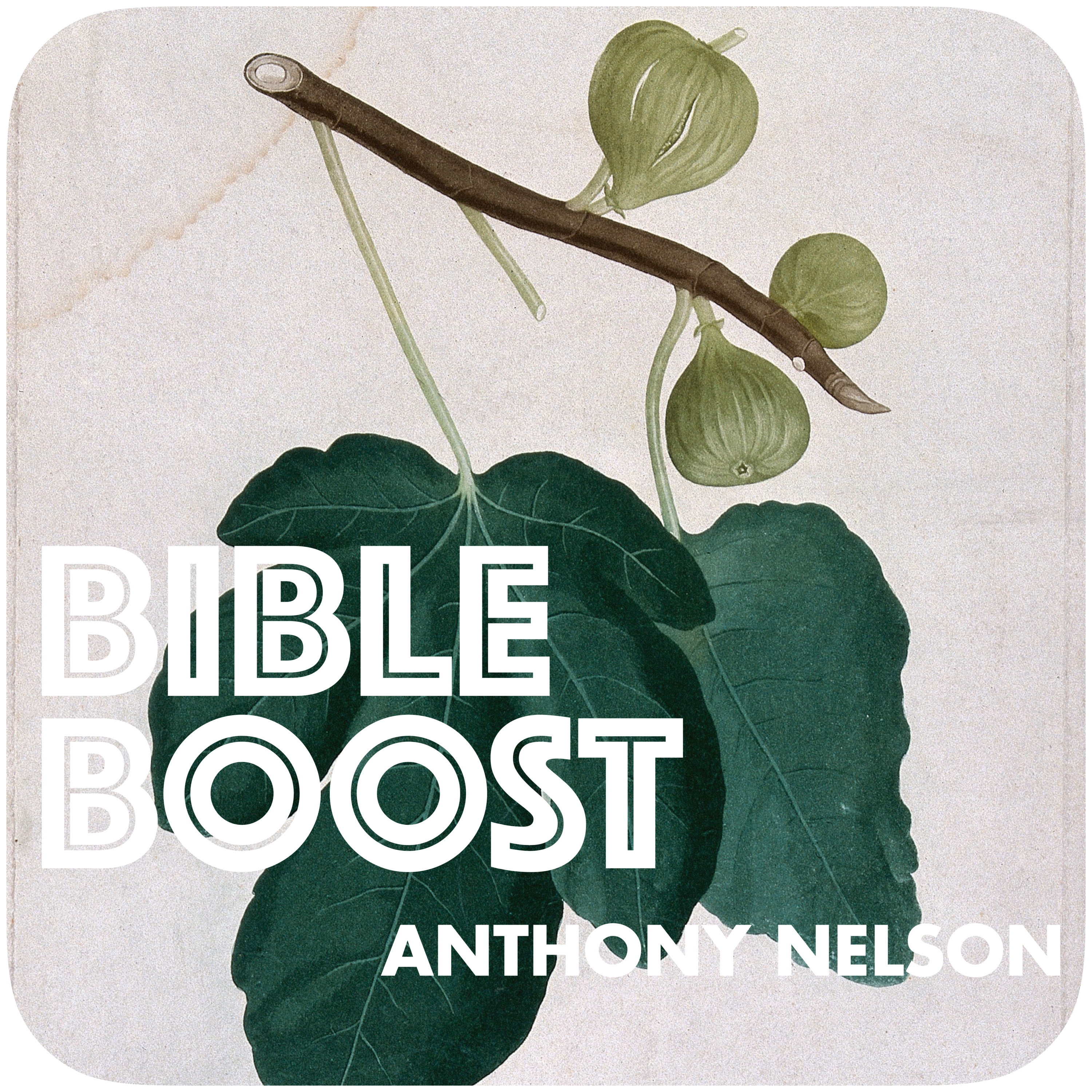 Anthony Nelson - Bible Boost