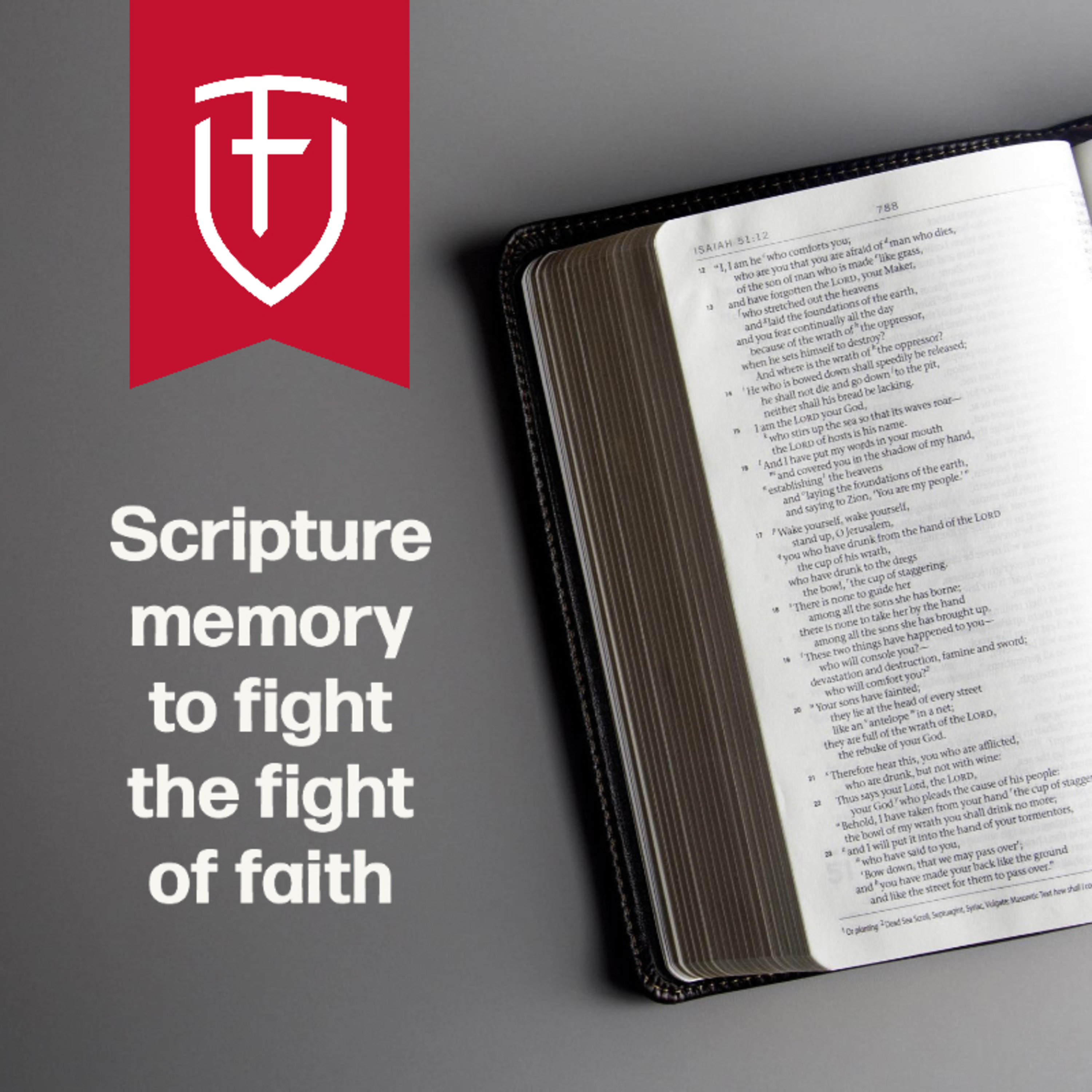Scripture memory to fight the fight of faith  episode artwork