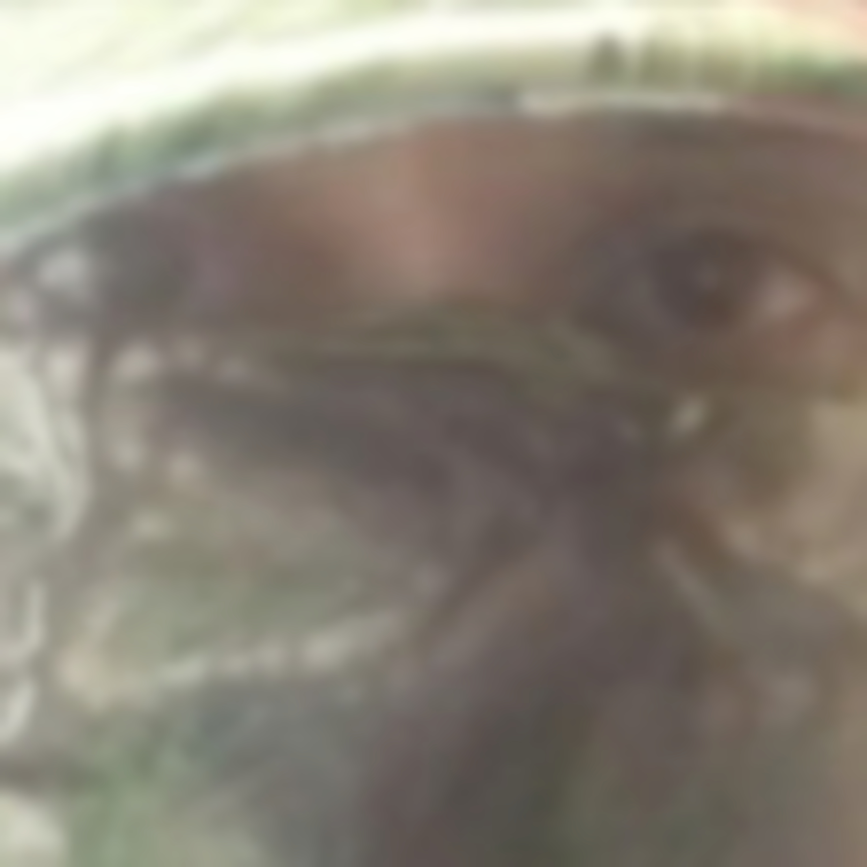 VERDADES DE SÍNDEMIA del Doctor Bee