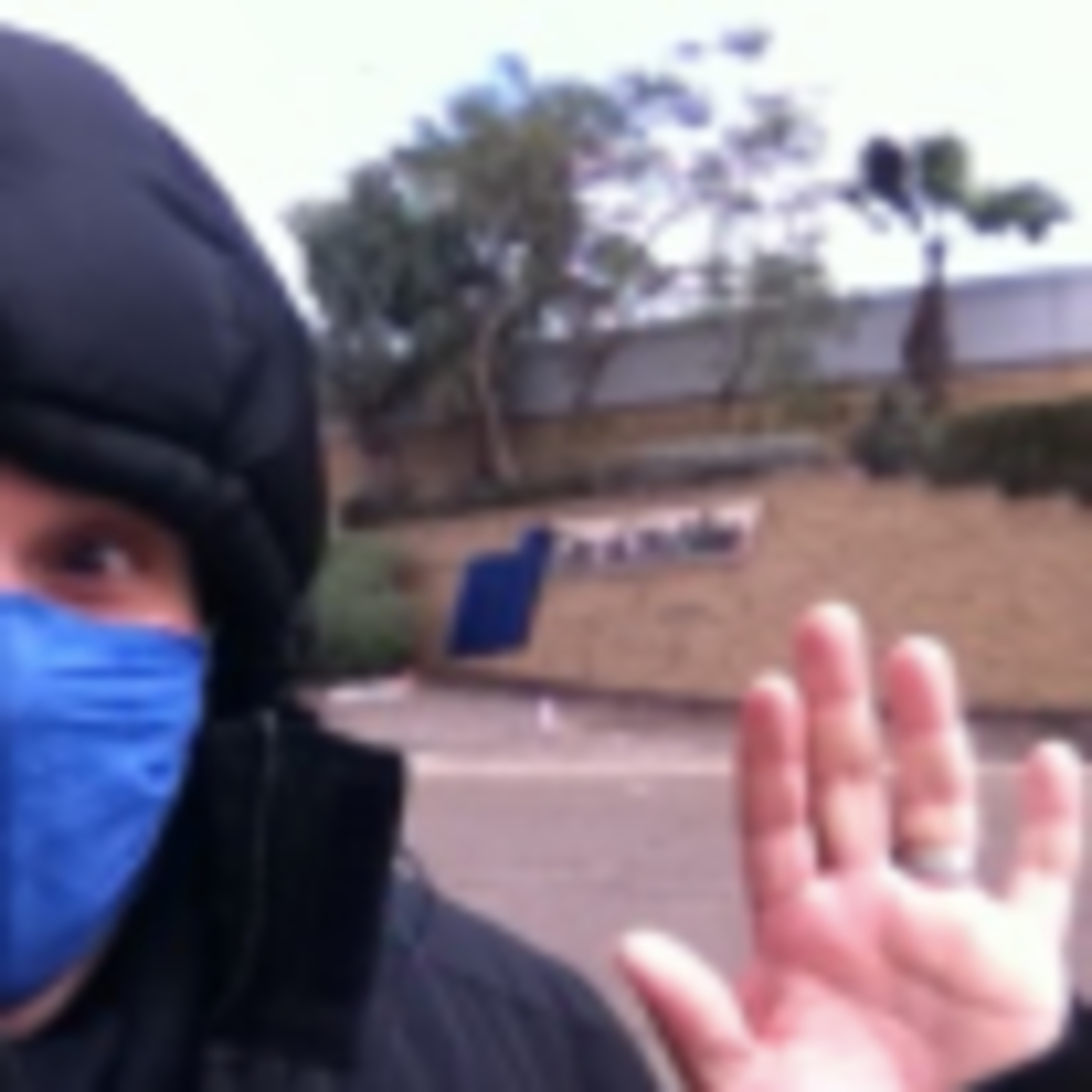 VERDADES DE SÍNDEMIA del Doctor Bee