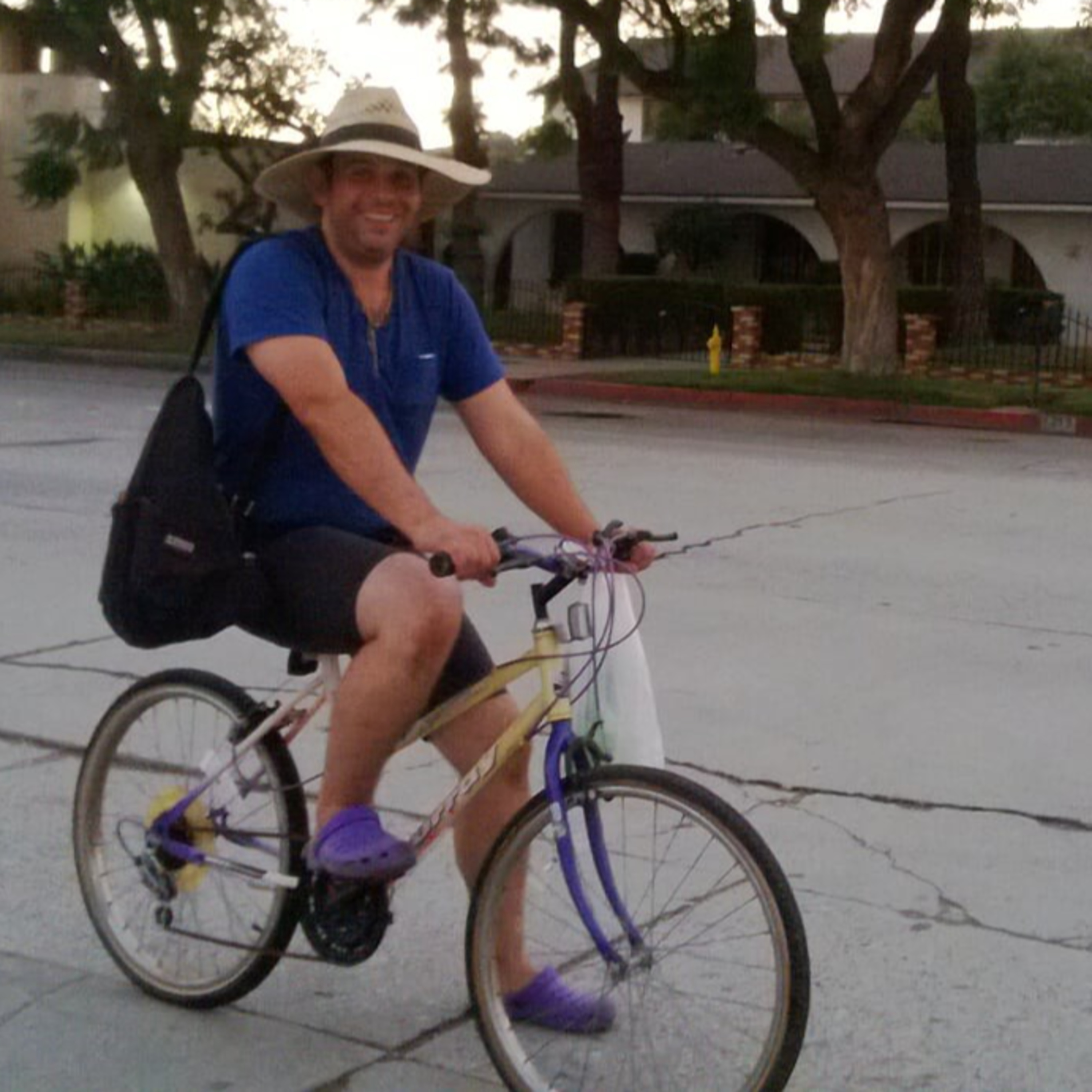 VERDADES DE SÍNDEMIA del Doctor Bee