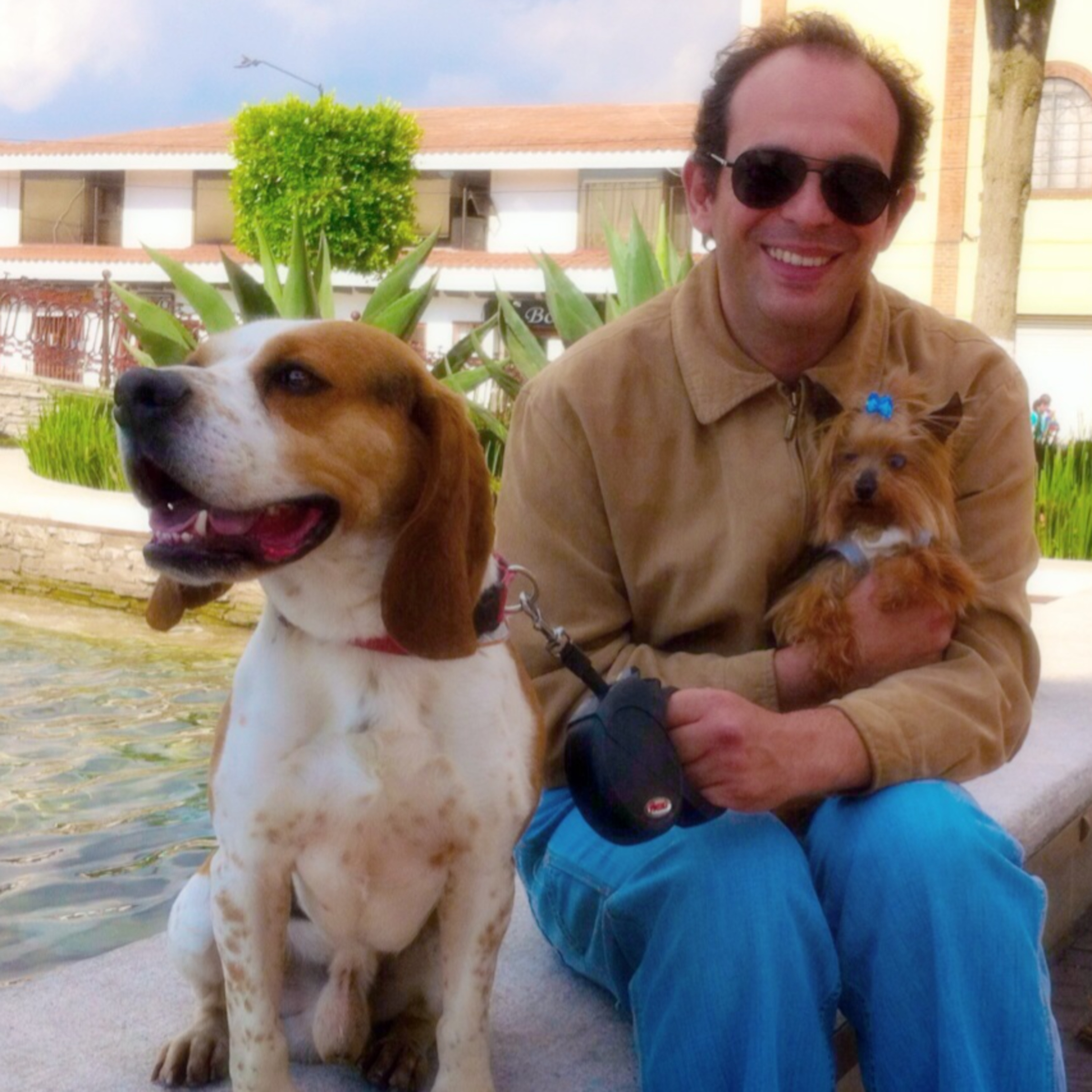 VERDADES DE SÍNDEMIA del Doctor Bee