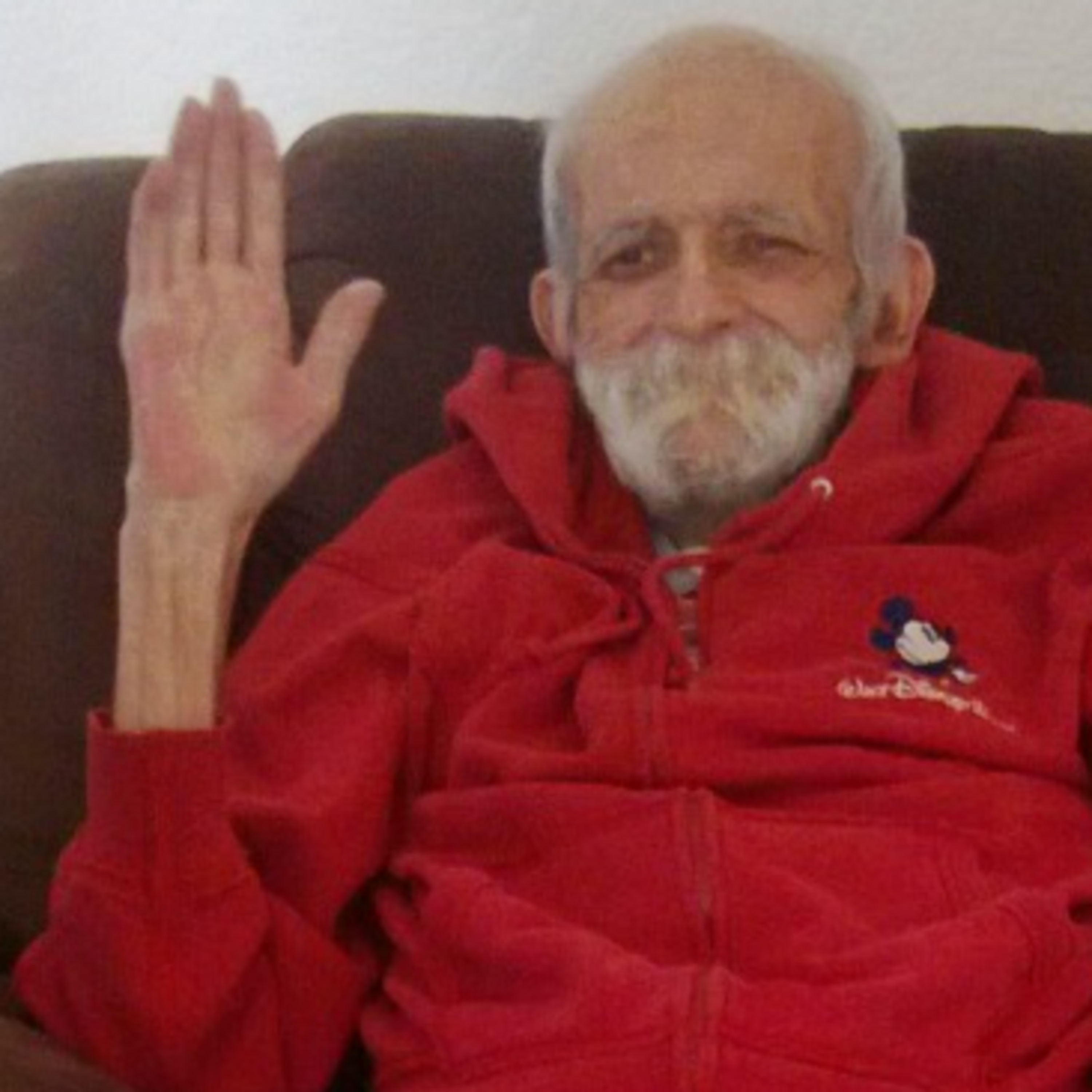 VERDADES DE SÍNDEMIA del Doctor Bee