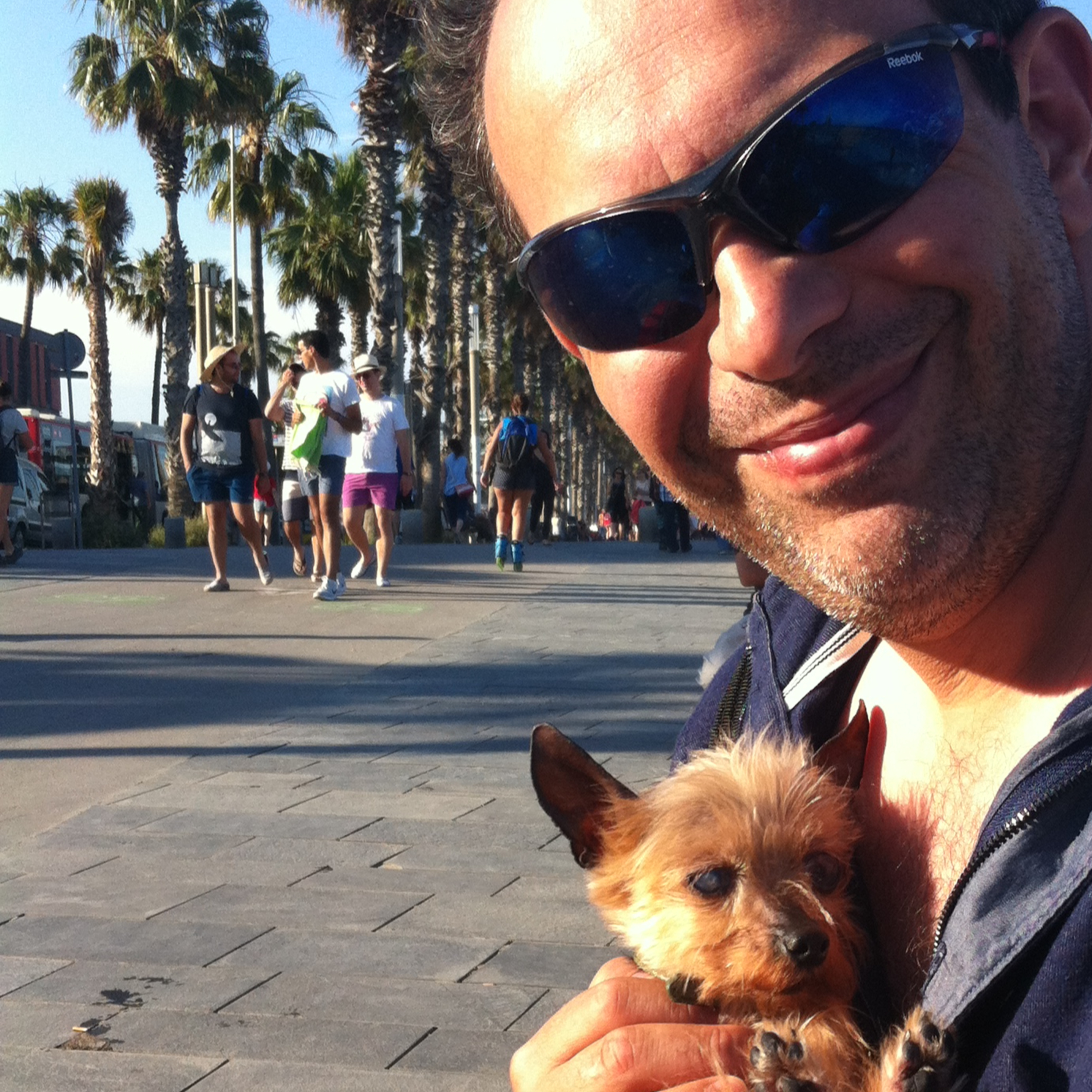 VERDADES DE SÍNDEMIA del Doctor Bee