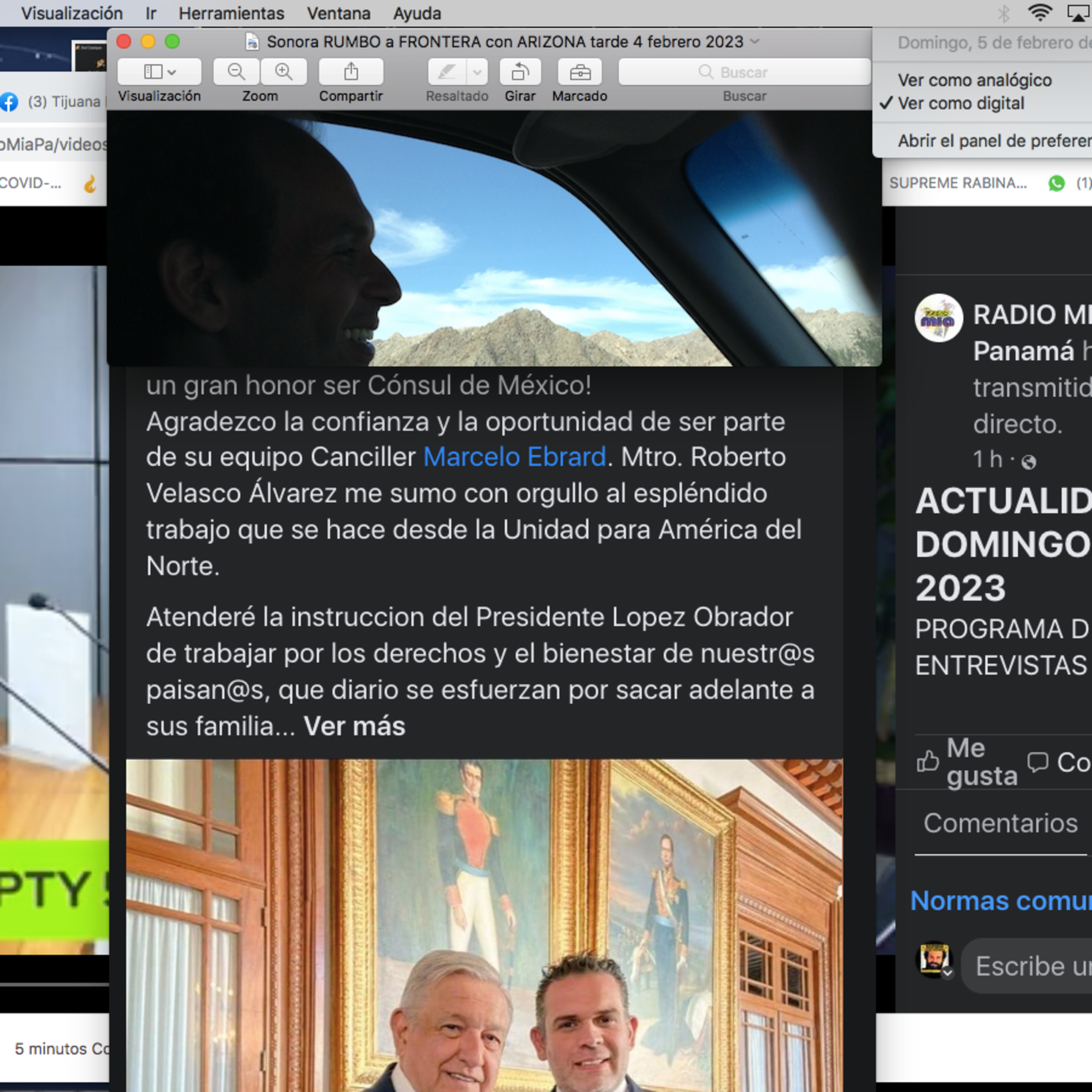 VERDADES DE SÍNDEMIA del Doctor Bee