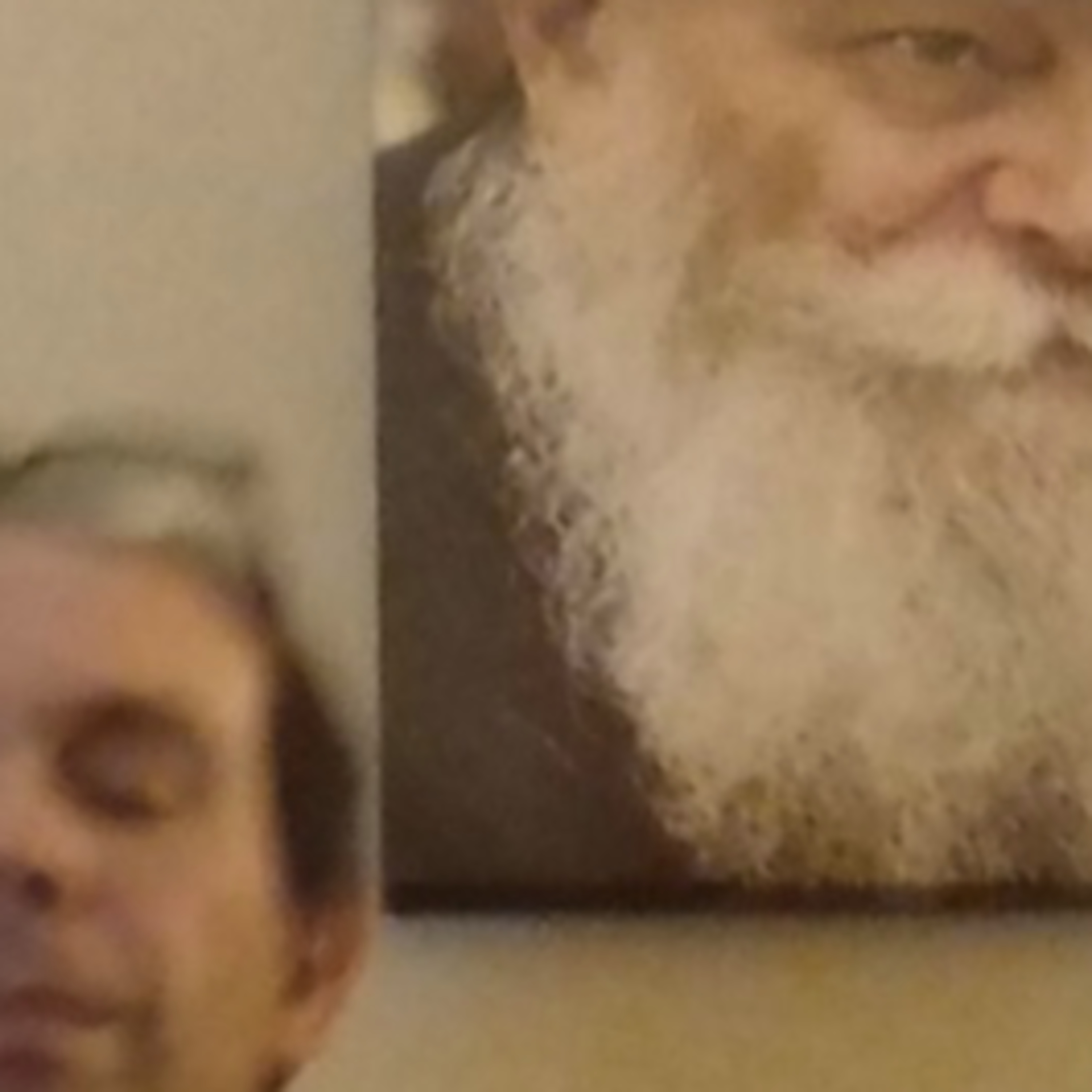 VERDADES DE SÍNDEMIA del Doctor Bee