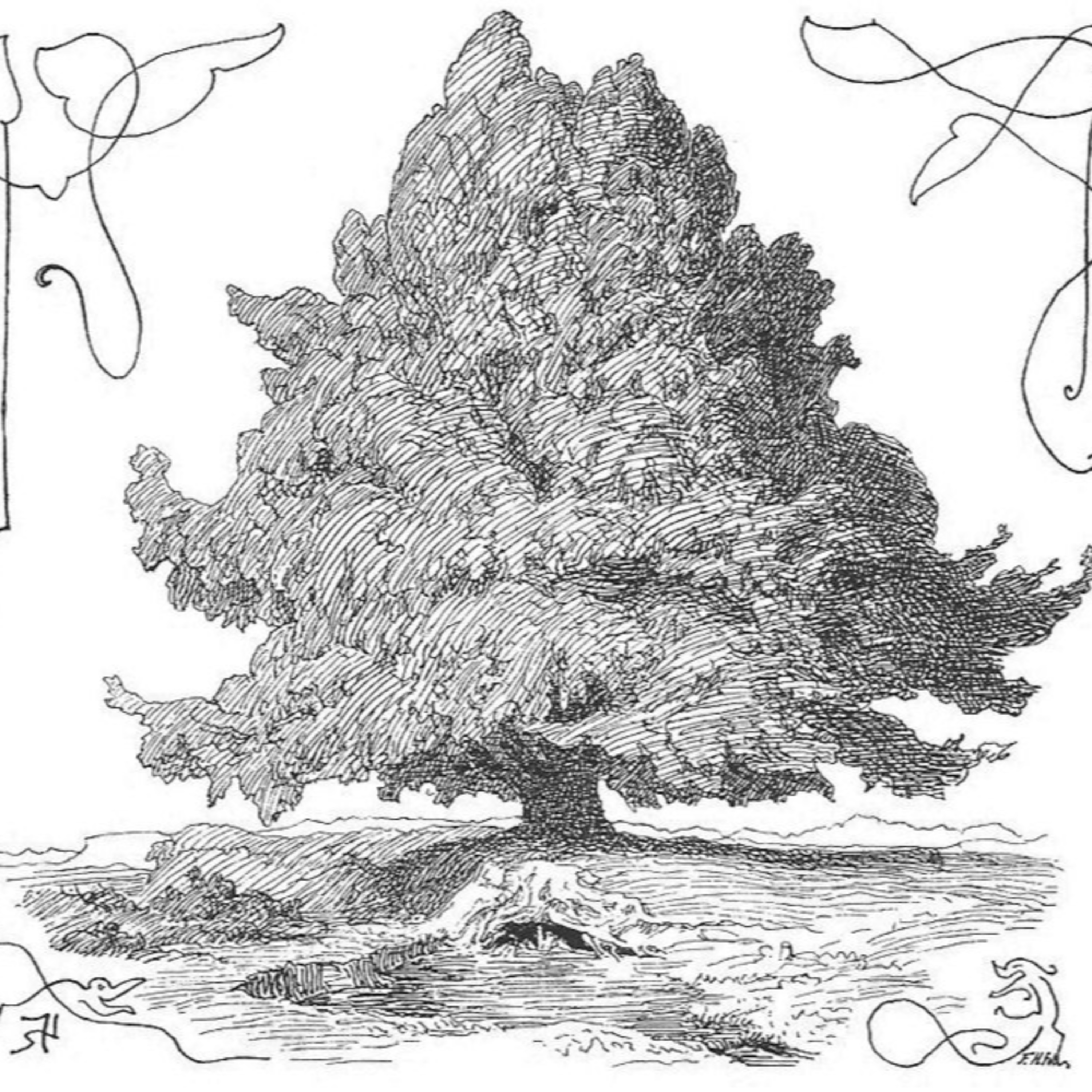 Loveinartsz Kültür-Sanat