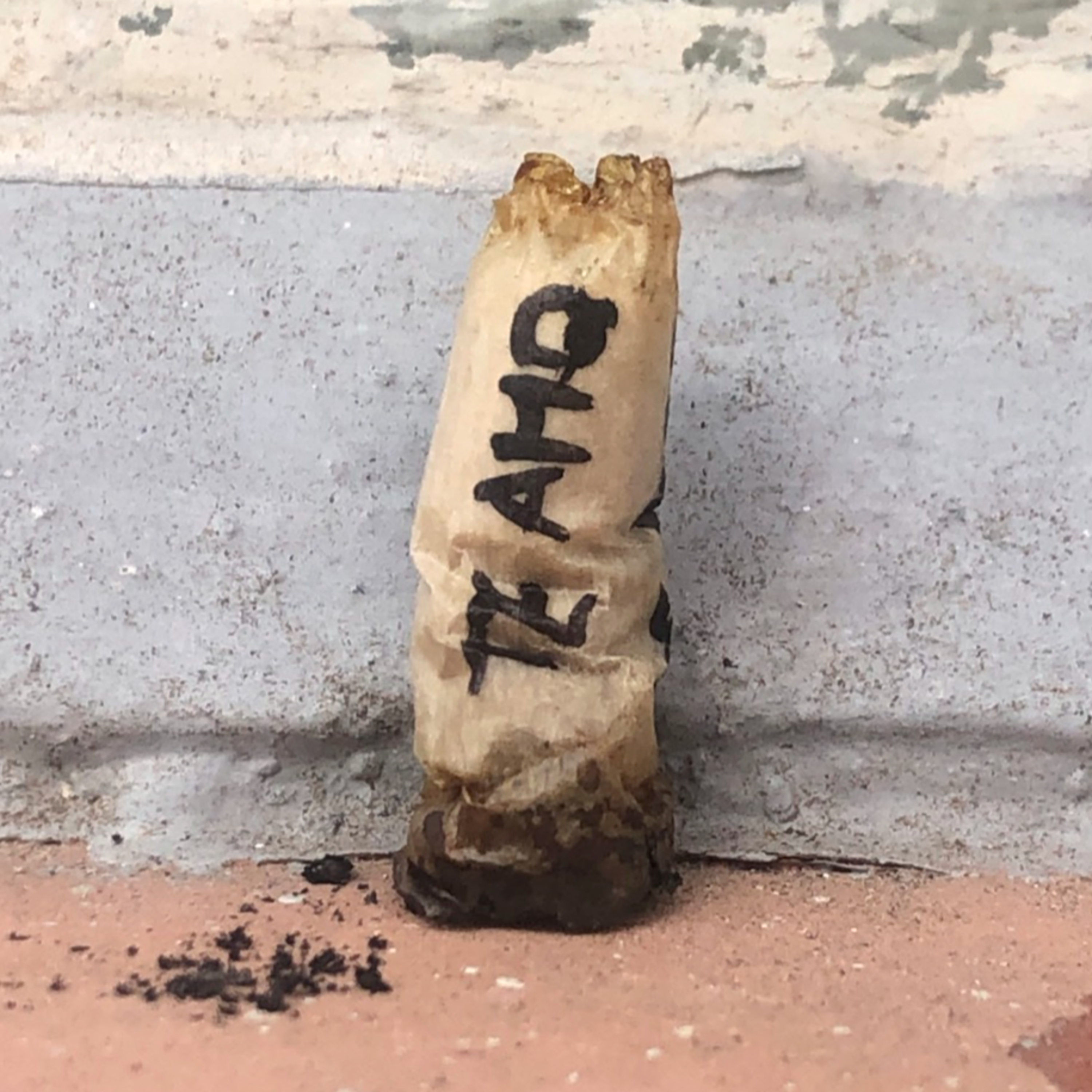 Fábio & seus Lucindos