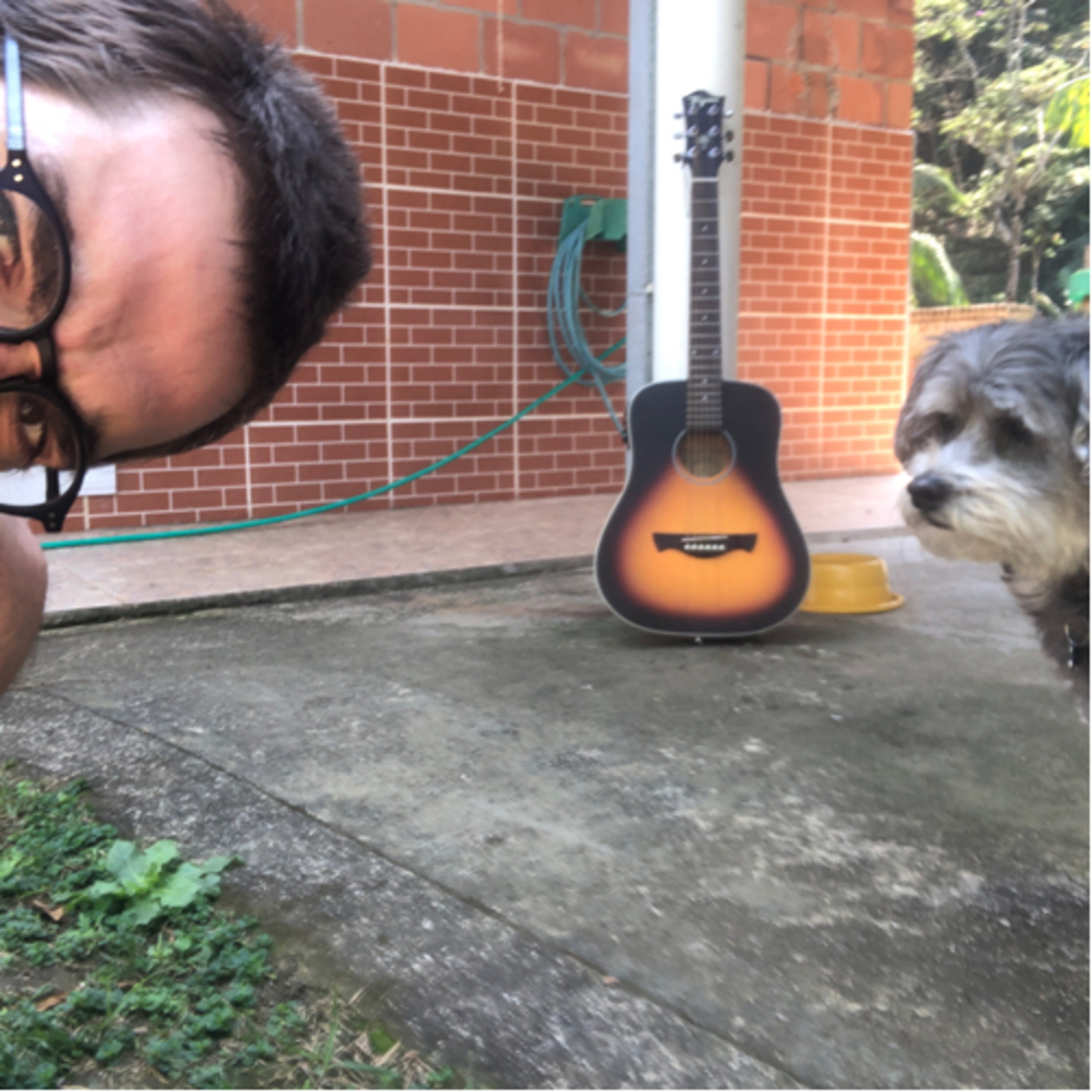 Fábio & seus Lucindos