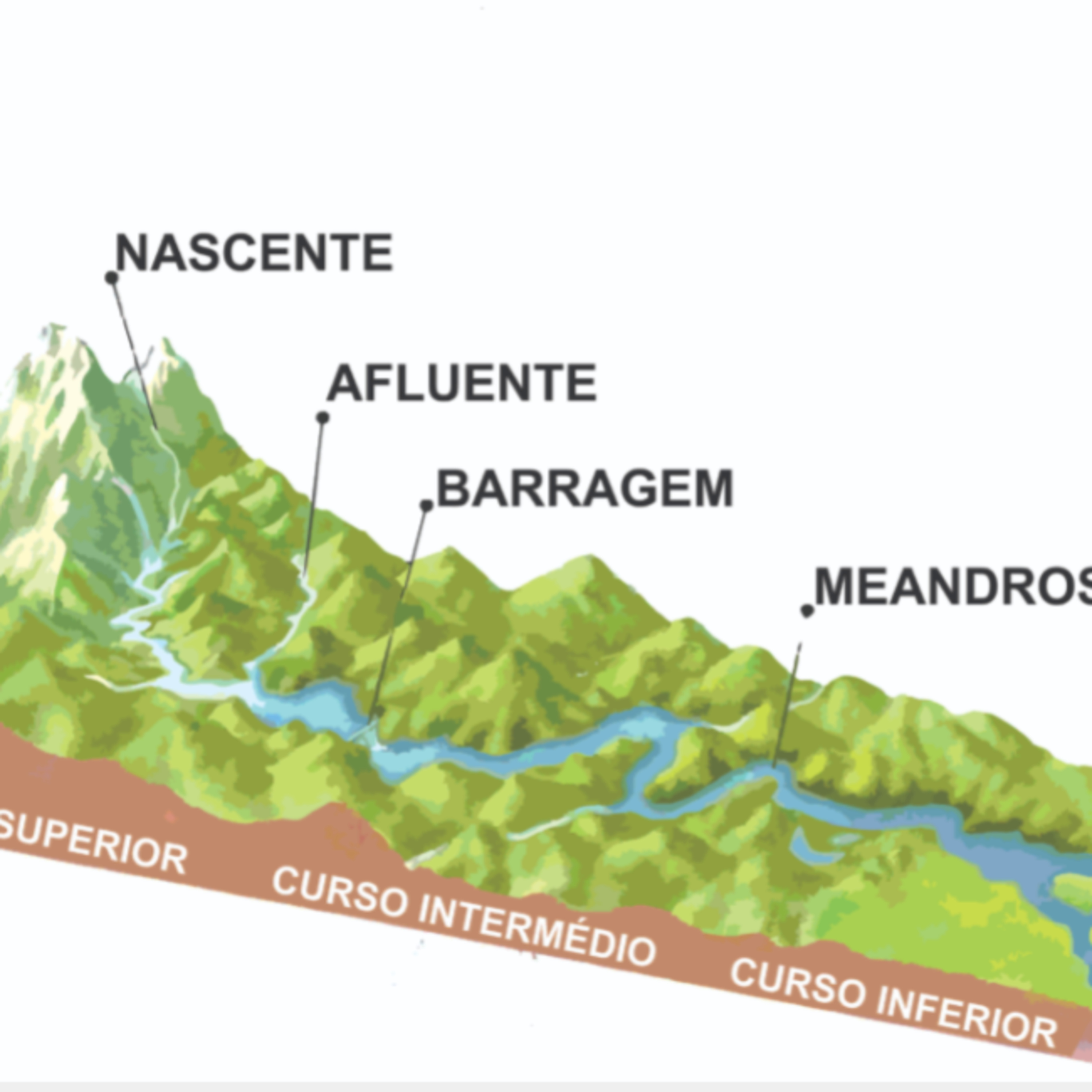 Fábio & seus Lucindos