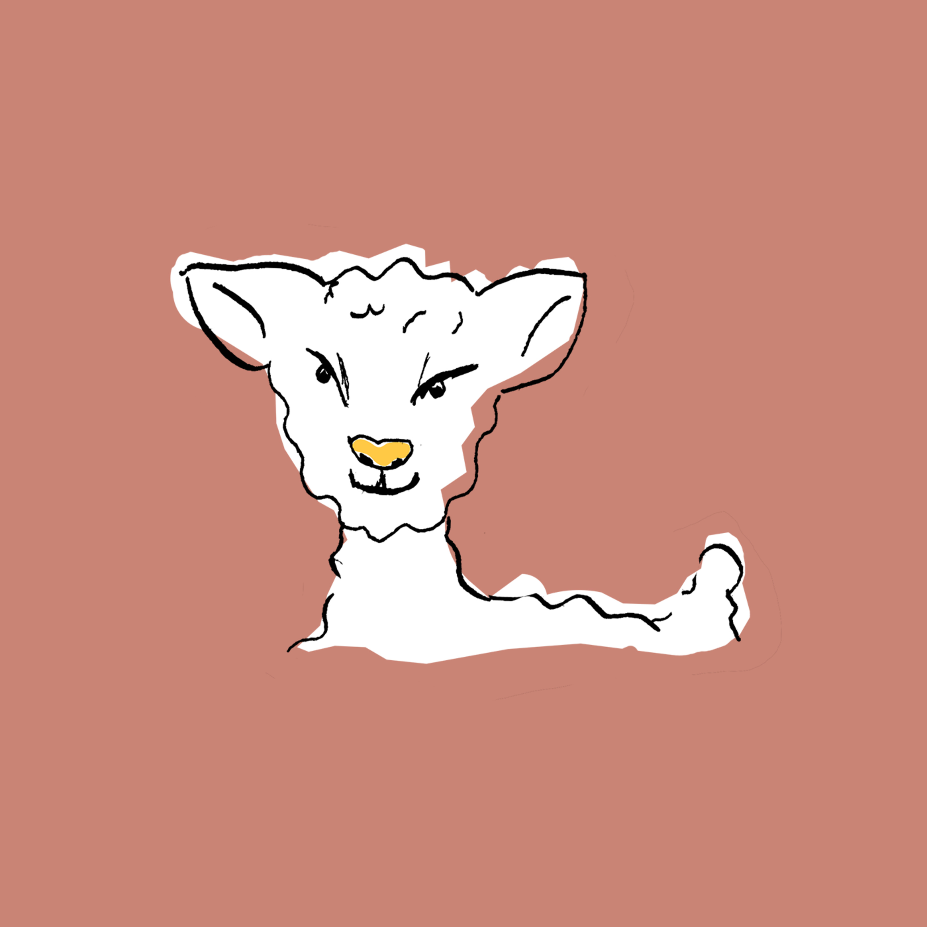 SFYN Favorieten