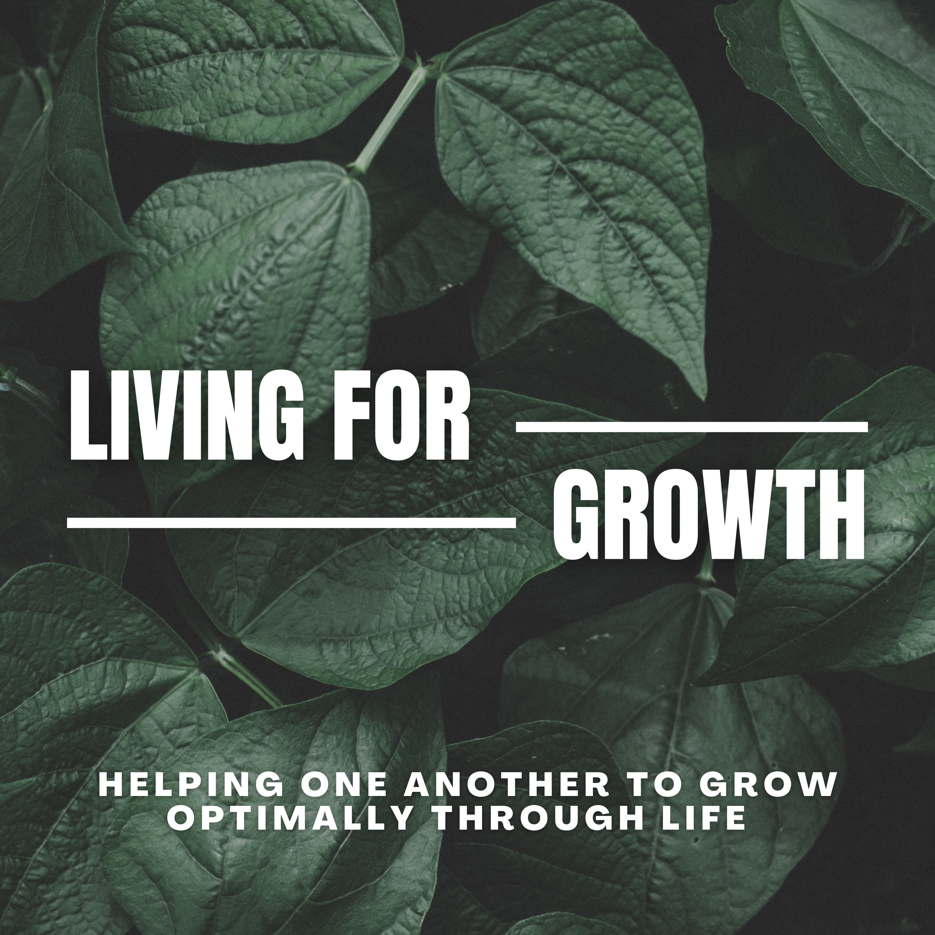 We Have Purpose - What Being Present Teaches Us About Living A Better Life episode artwork
