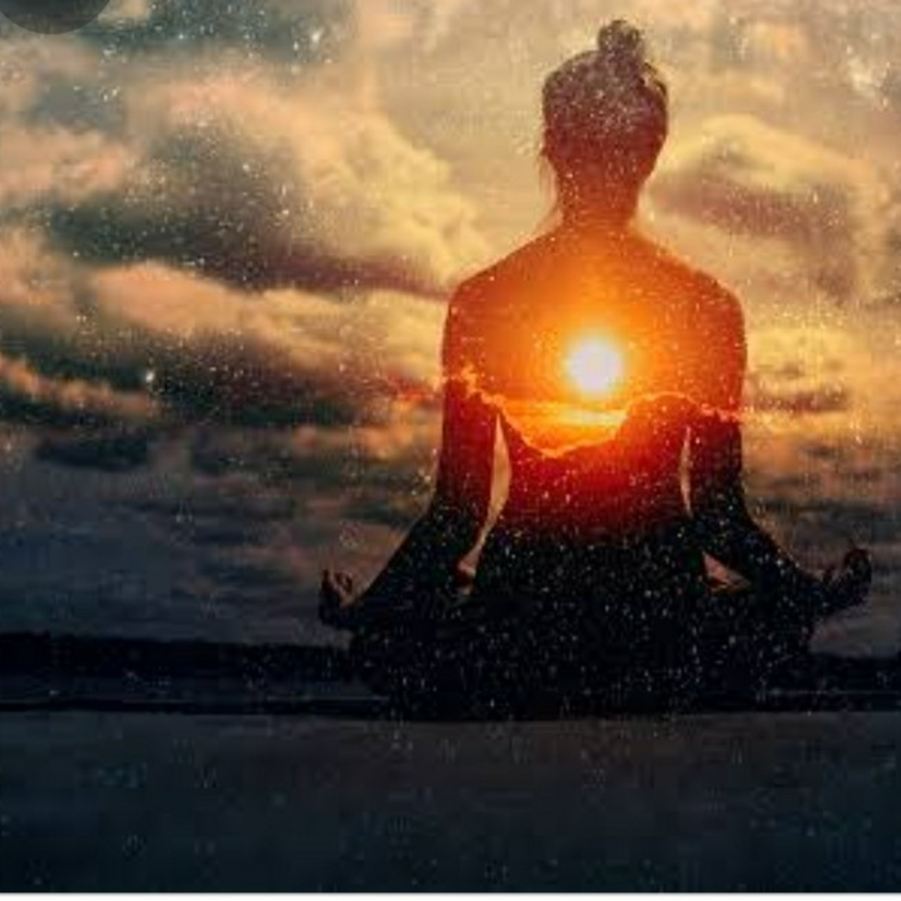 PARAMHANS LOTUS