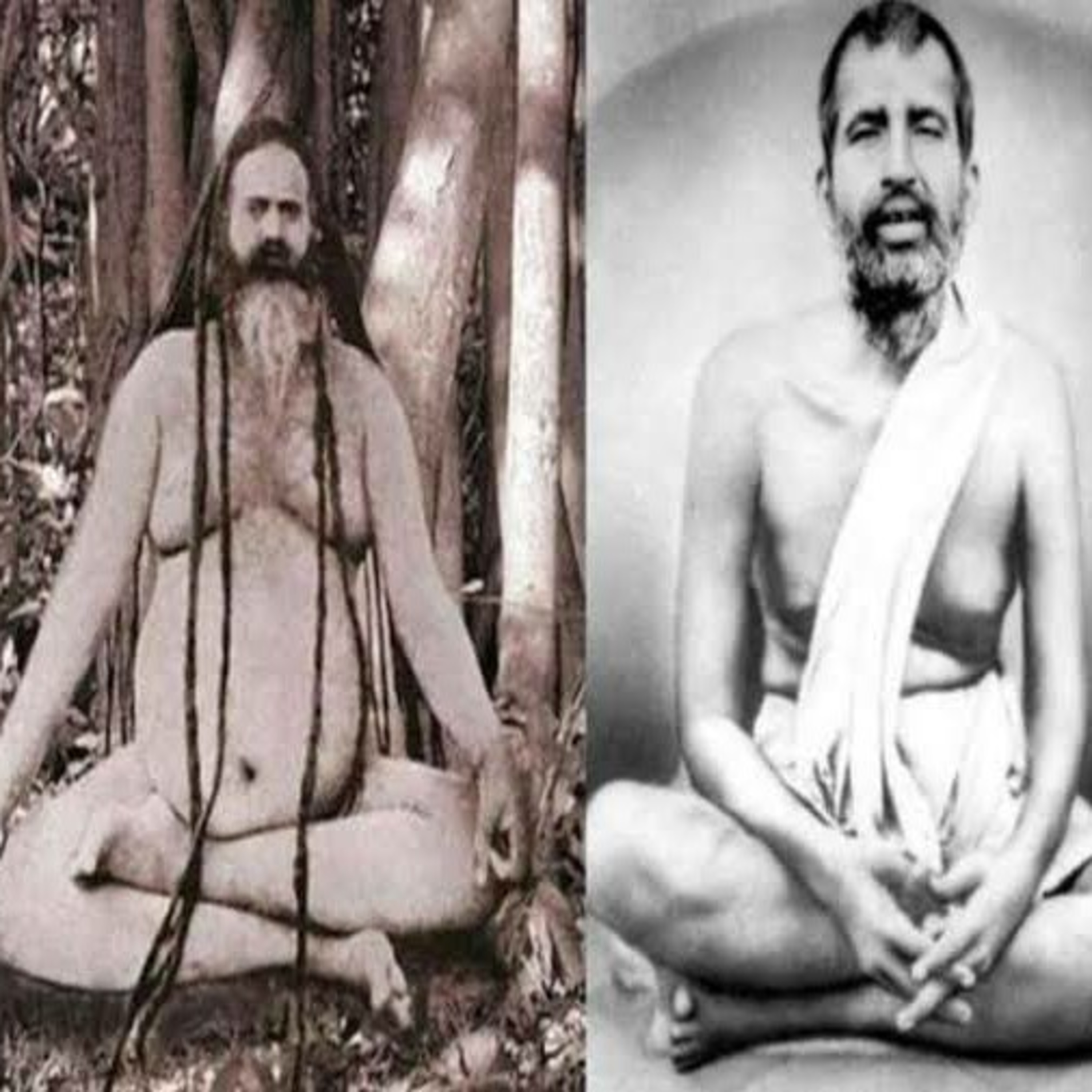 PARAMHANS LOTUS