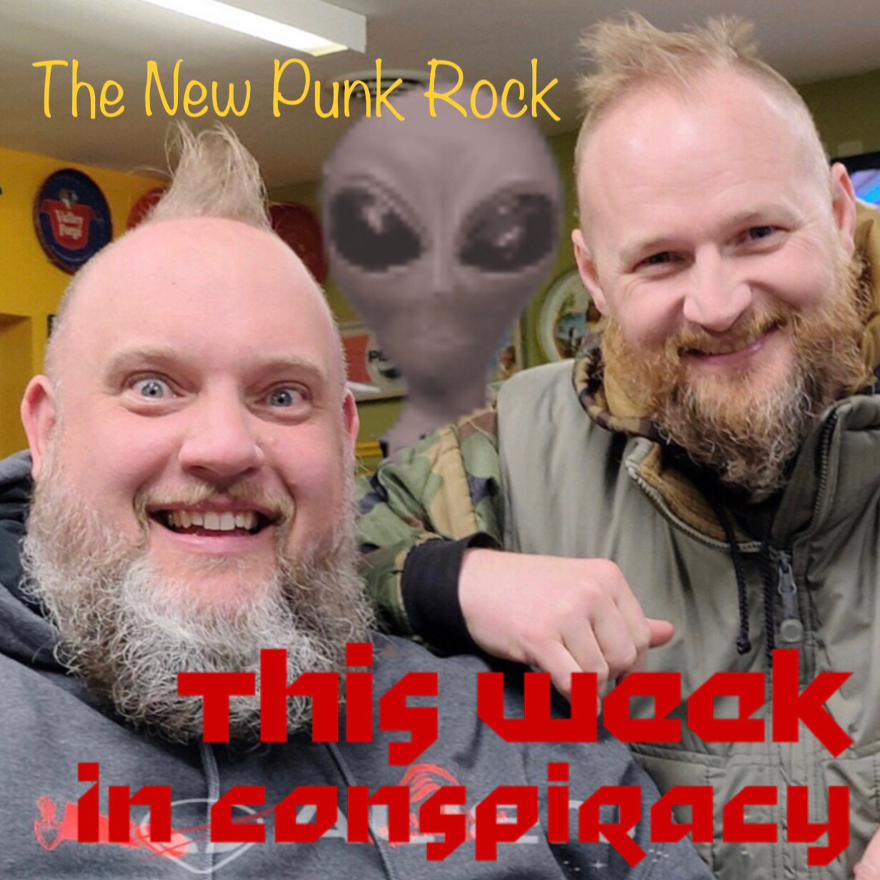 The New Punk Rock episode artwork