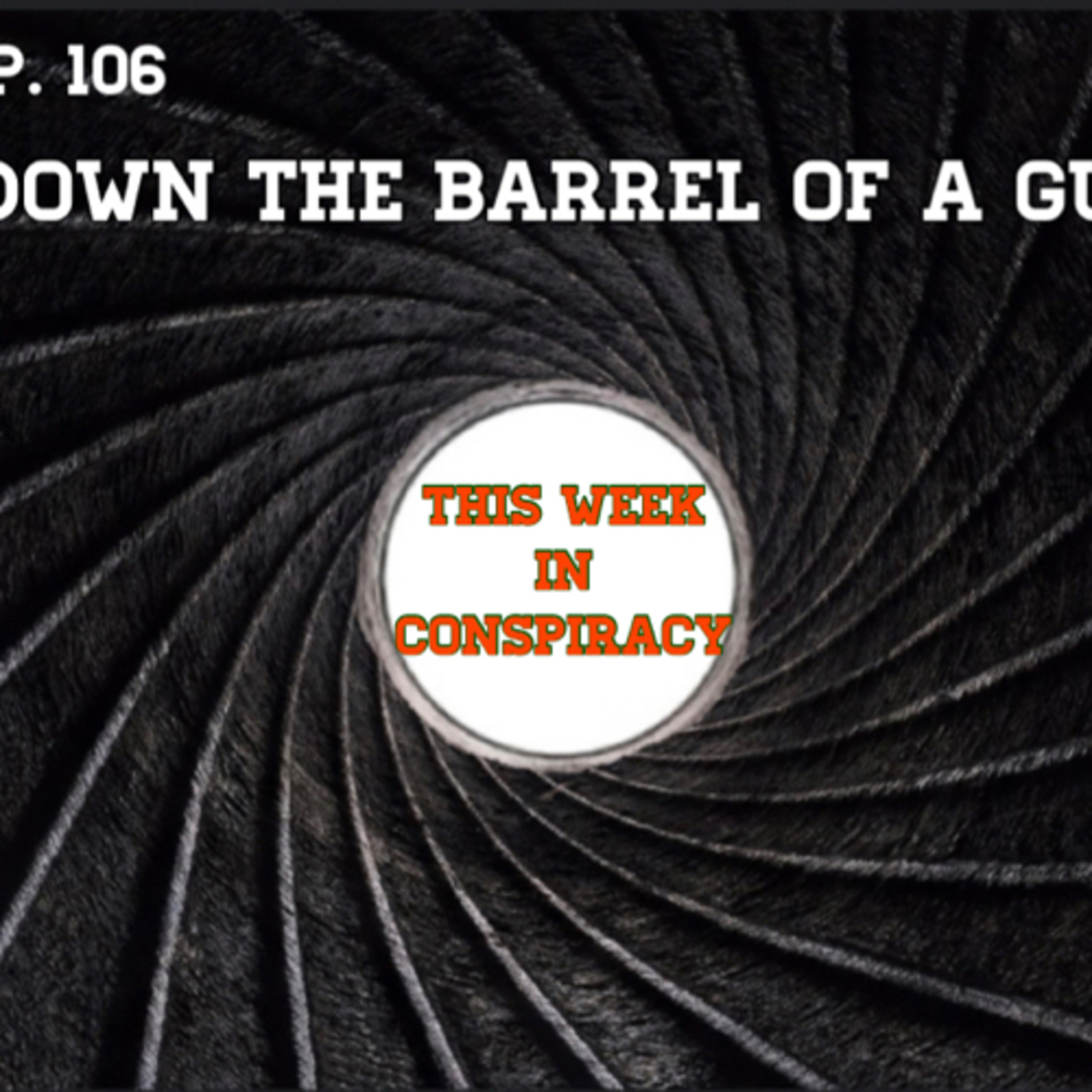 Down the barrel of a gun episode artwork
