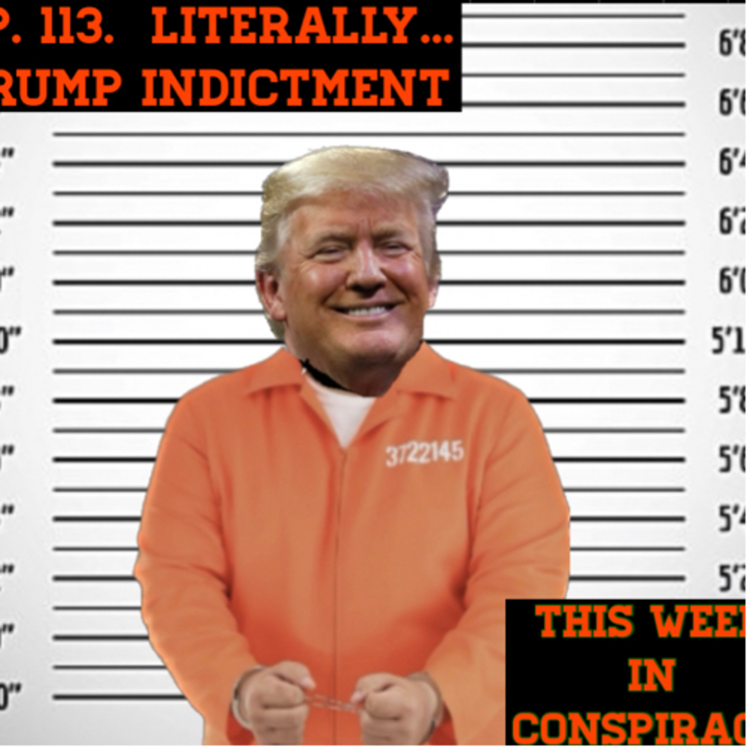 Literally... Trump Indictment episode artwork