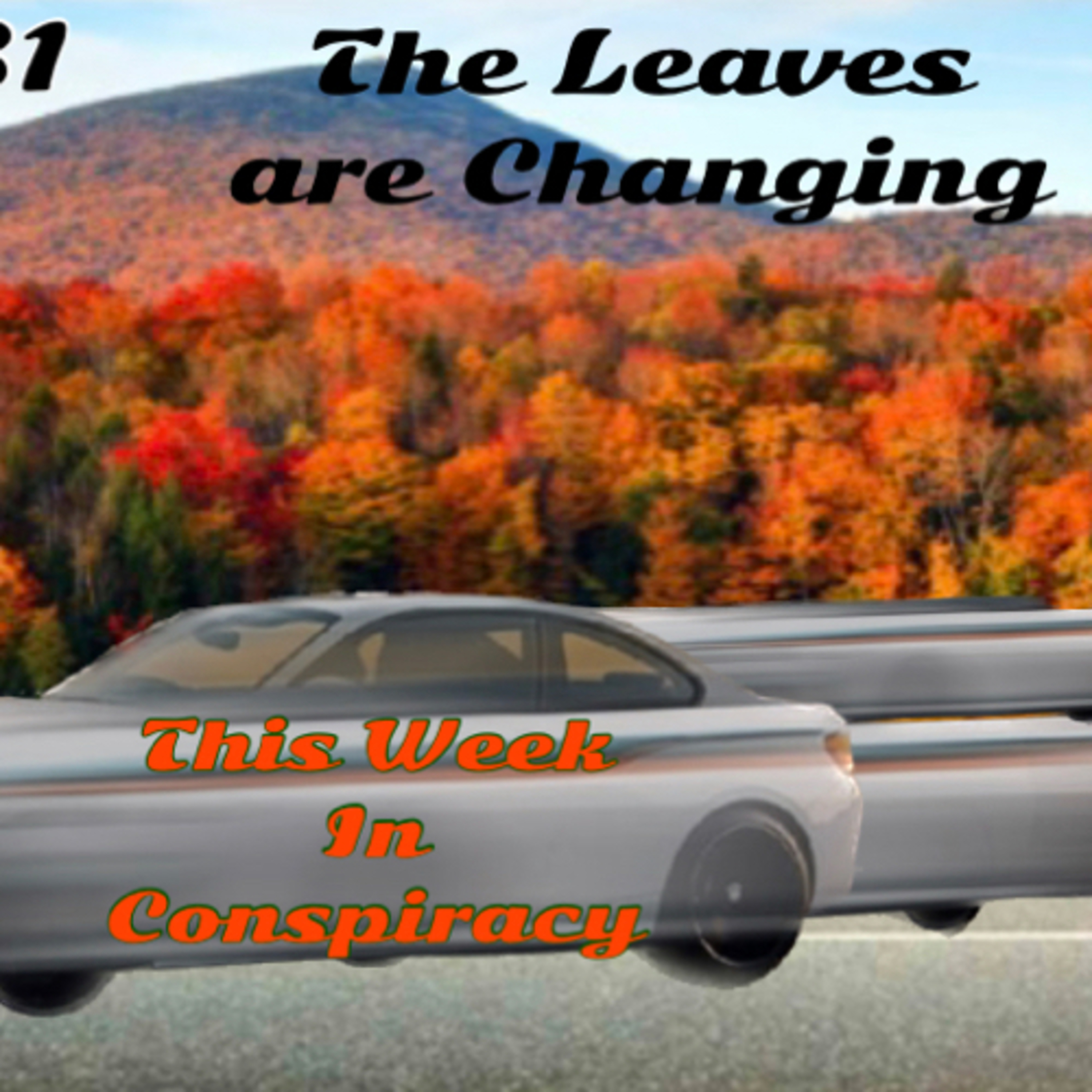 The Leaves are Changing