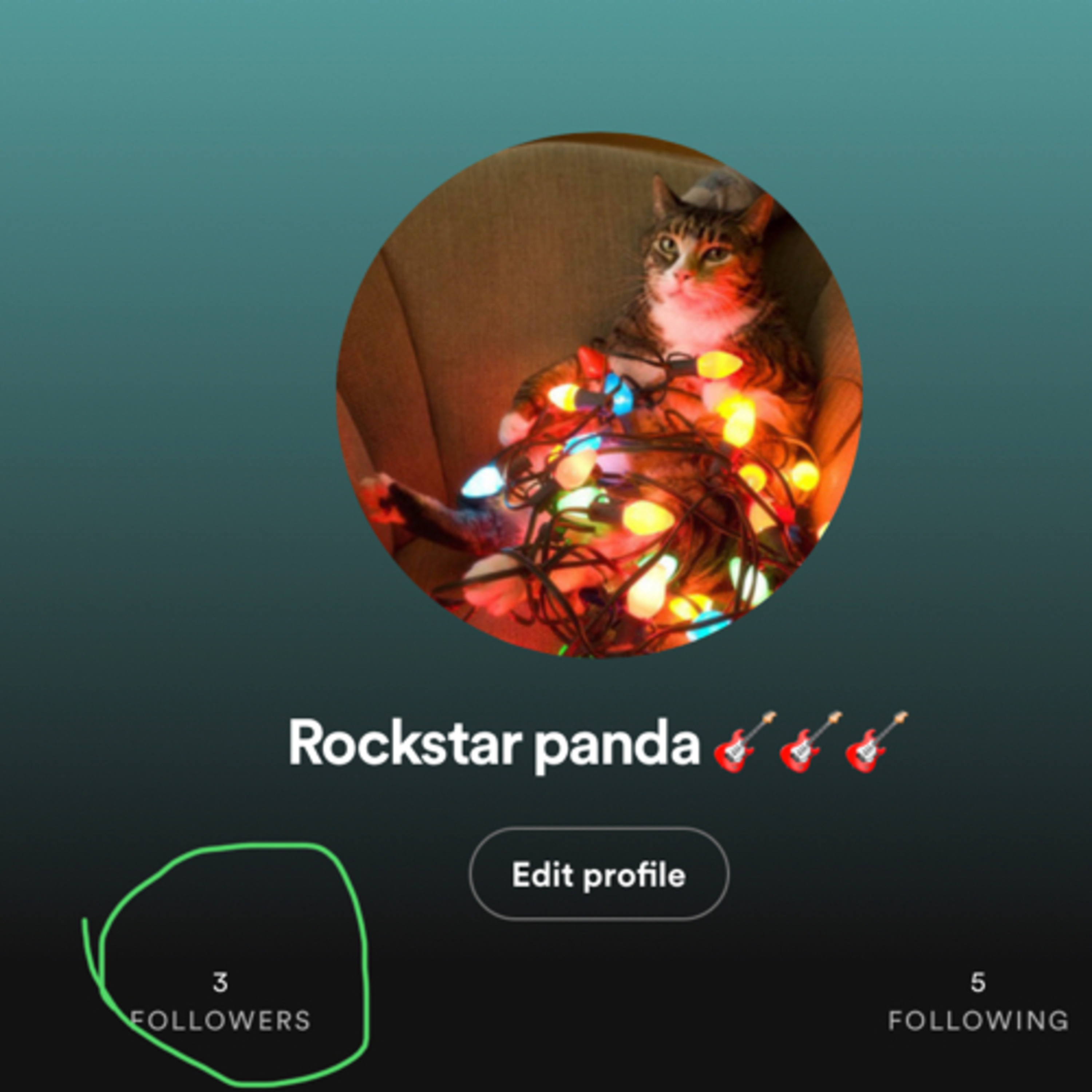 My Spotify account episode artwork