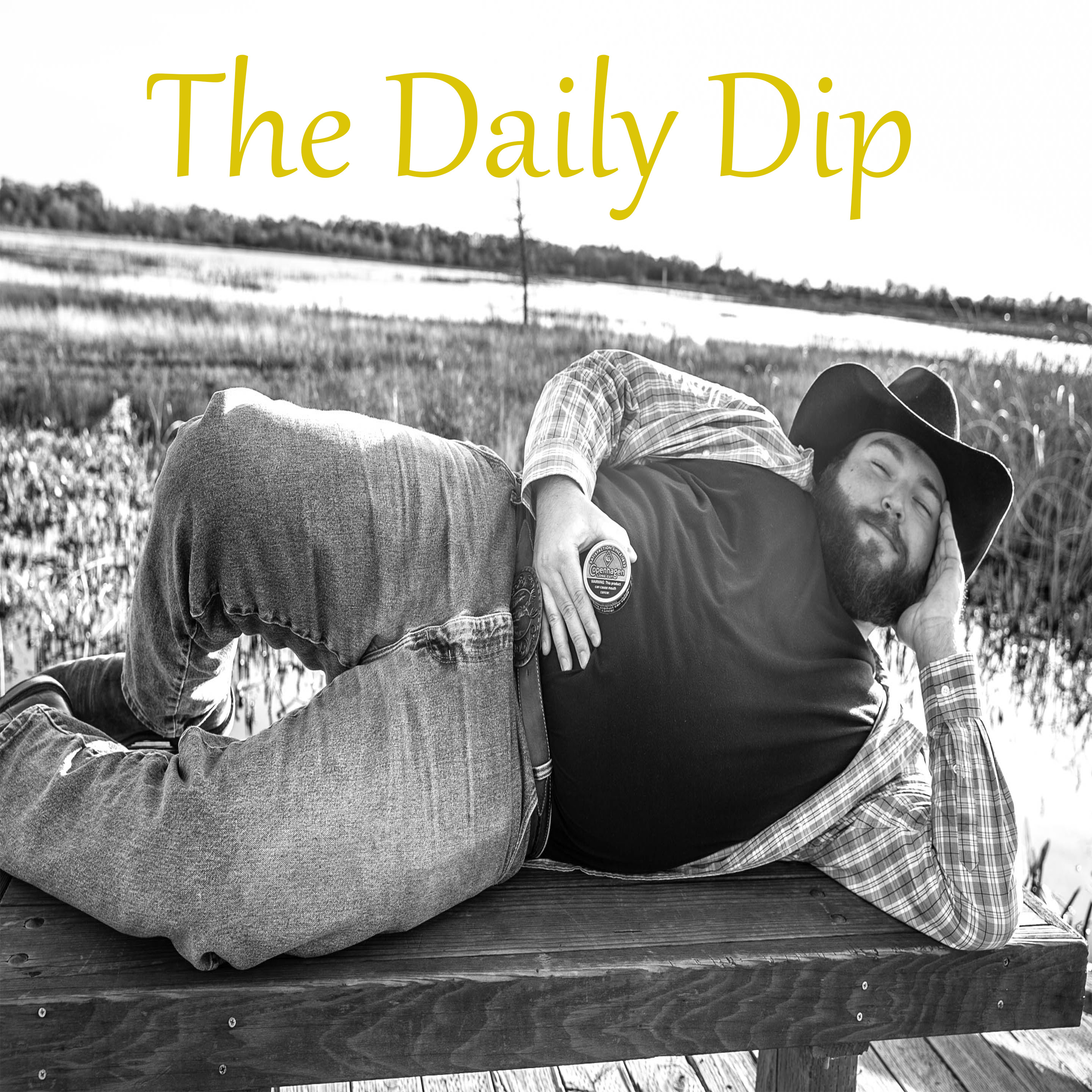 The Daily Dip