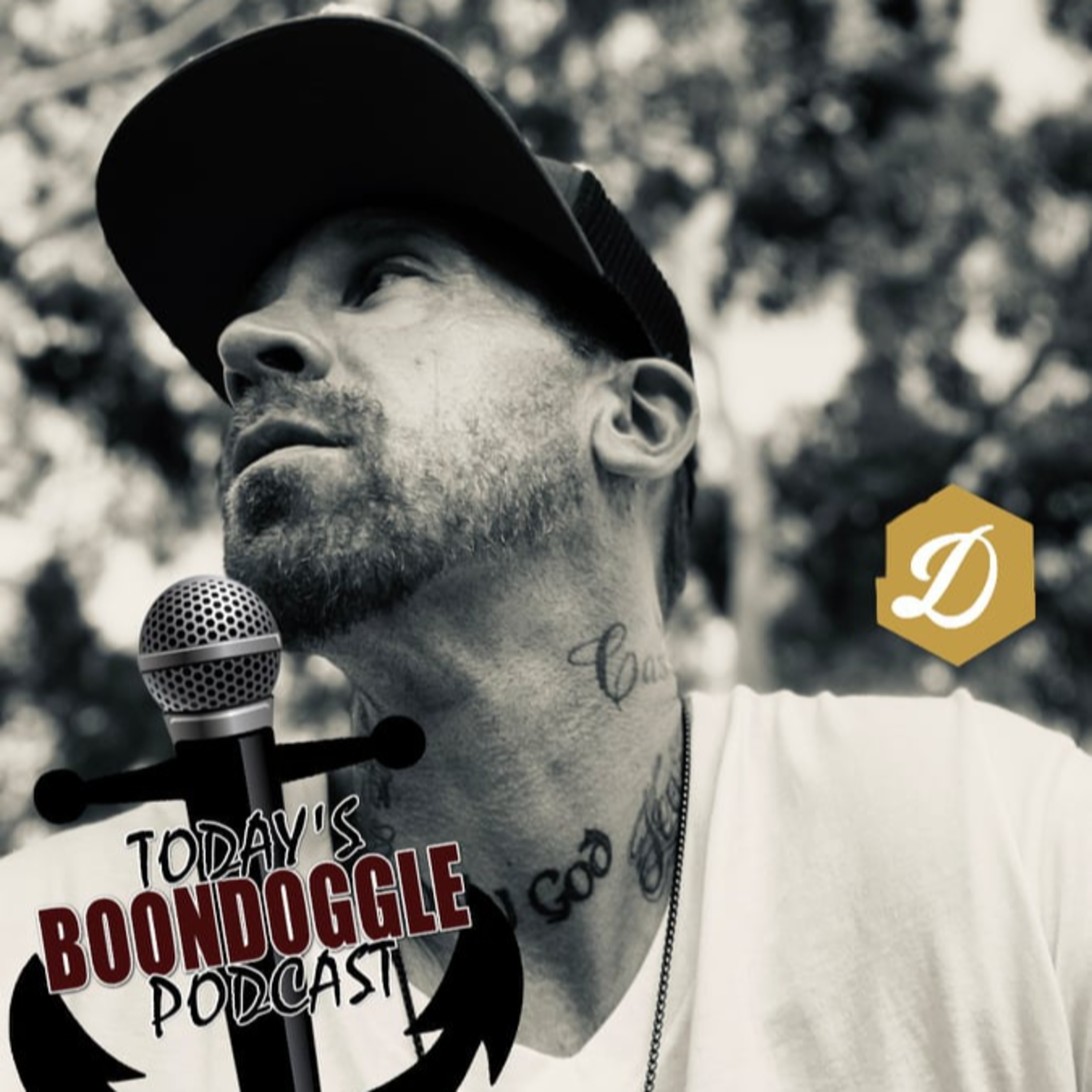 #135 Today's Boondoggle- with Shane Ramer of That Sober Guy Podcast episode artwork