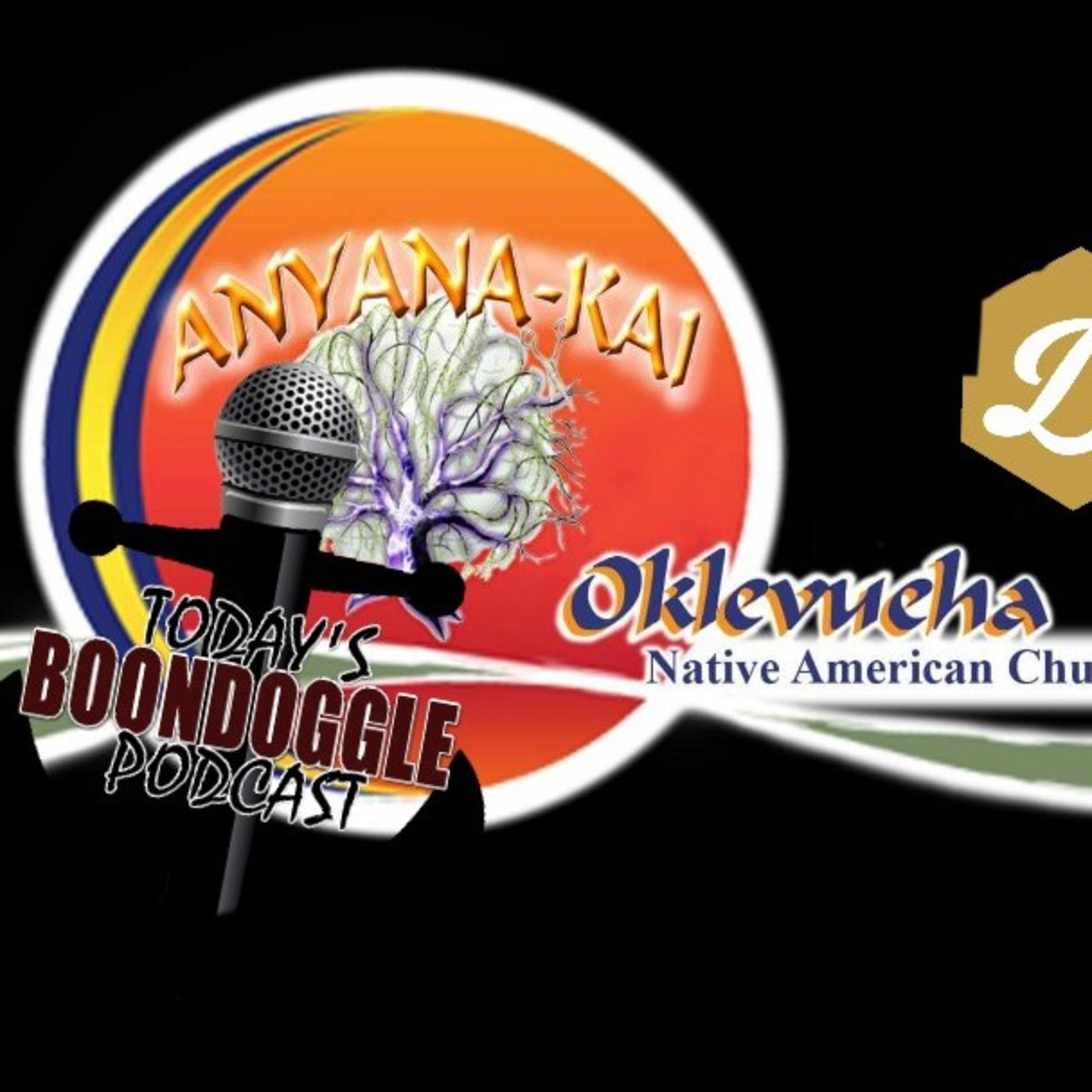 #139 Today's Boondoggle- Talking Wholistic Health with Dr. Charmaine episode artwork