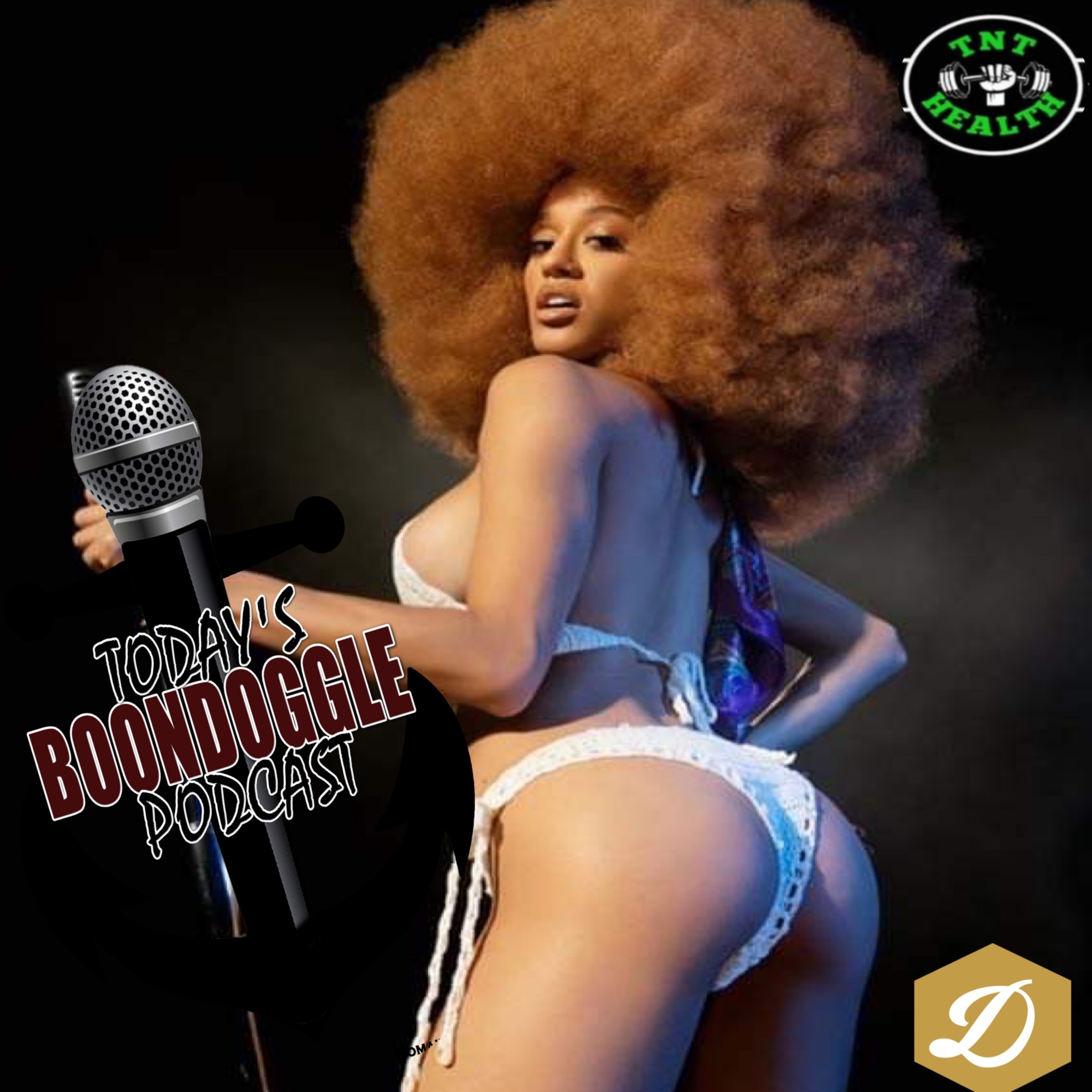 Todays Boondoggle Podcast