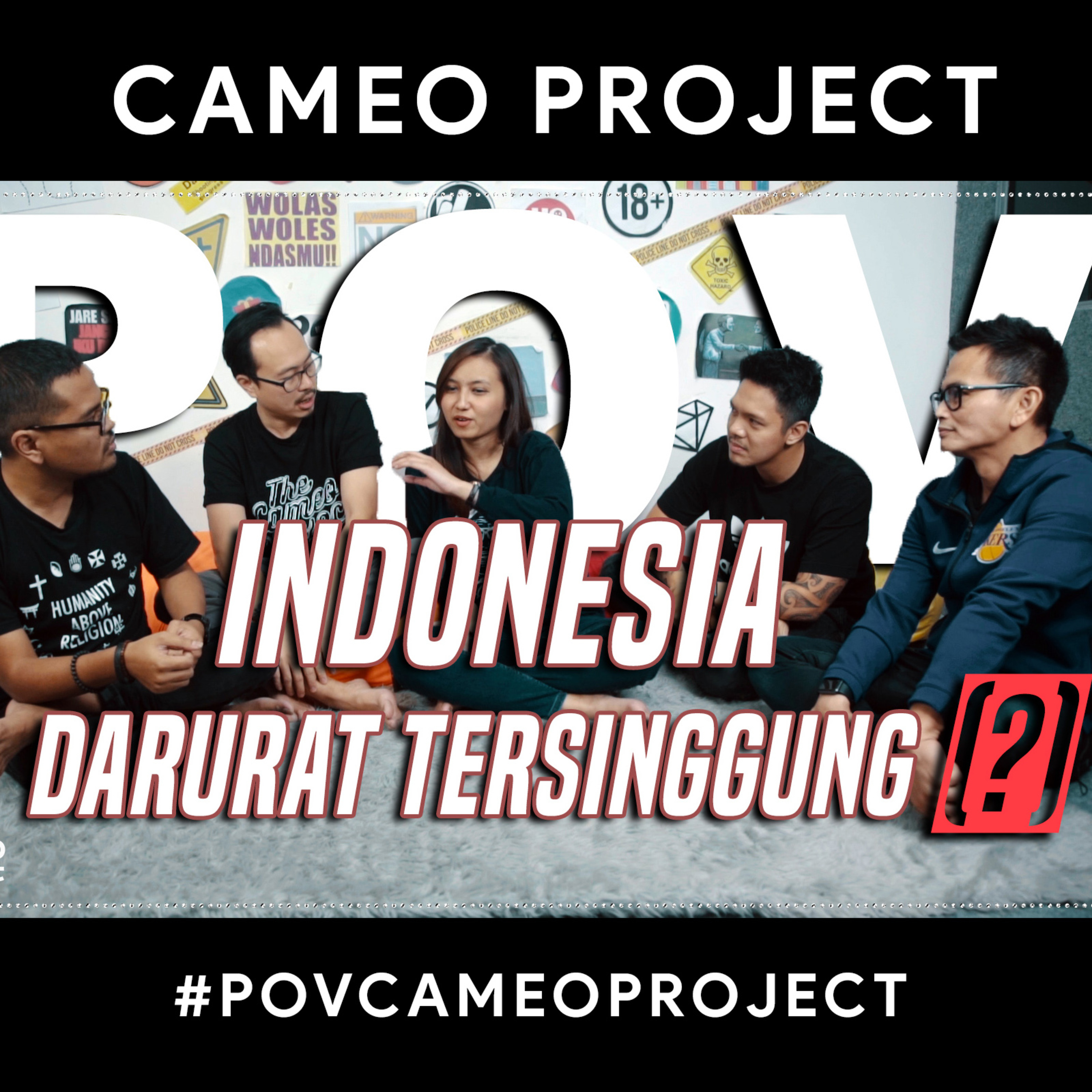 Point of View Cameo Project