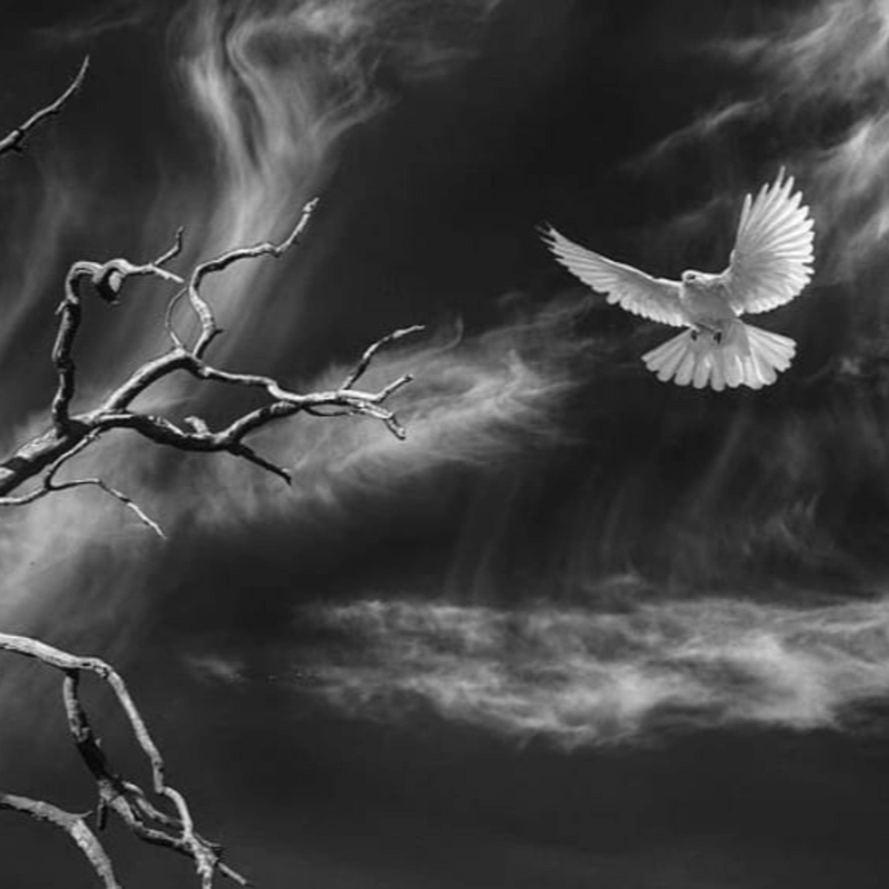 Un poco de todo con Bego