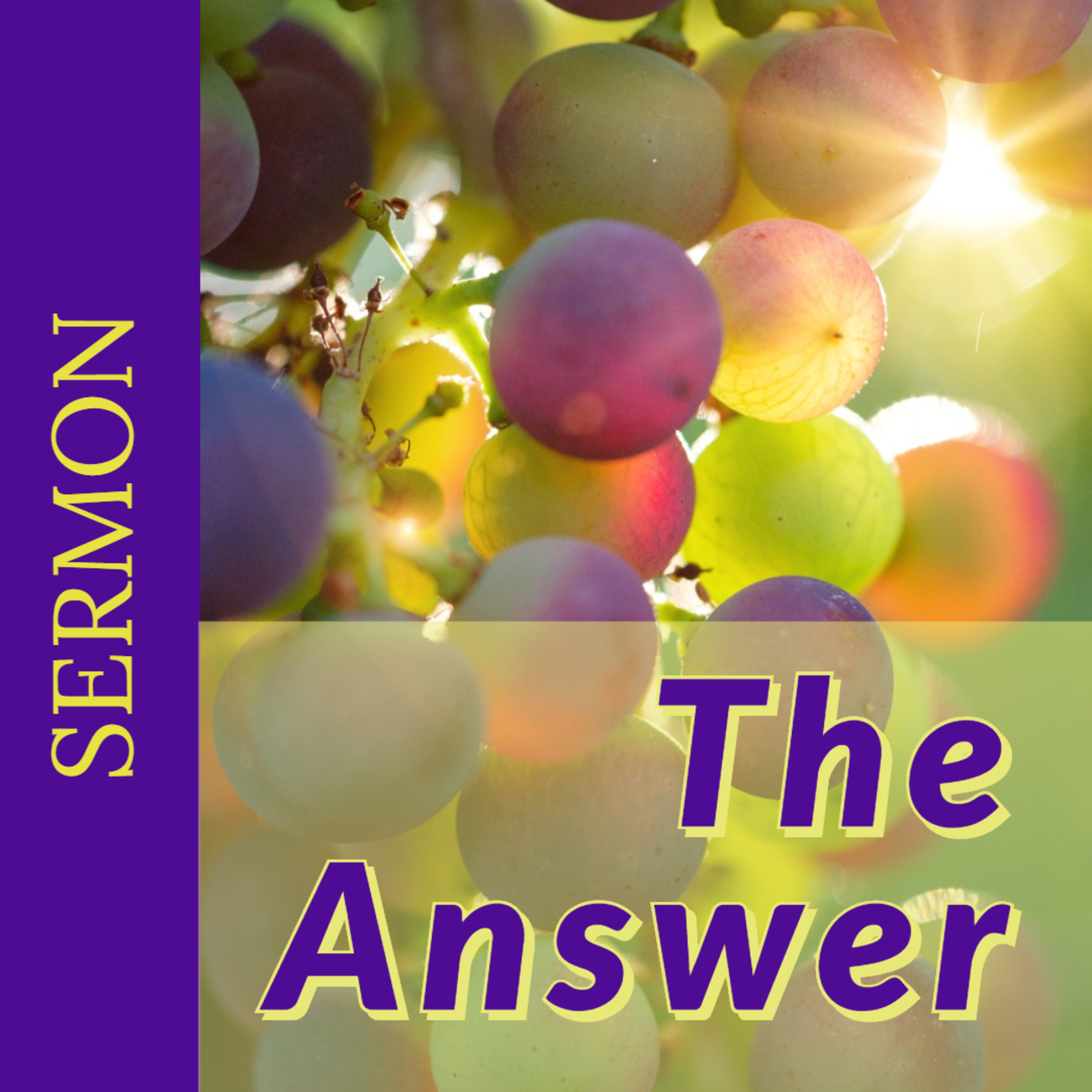 The Answer [8-25-19]