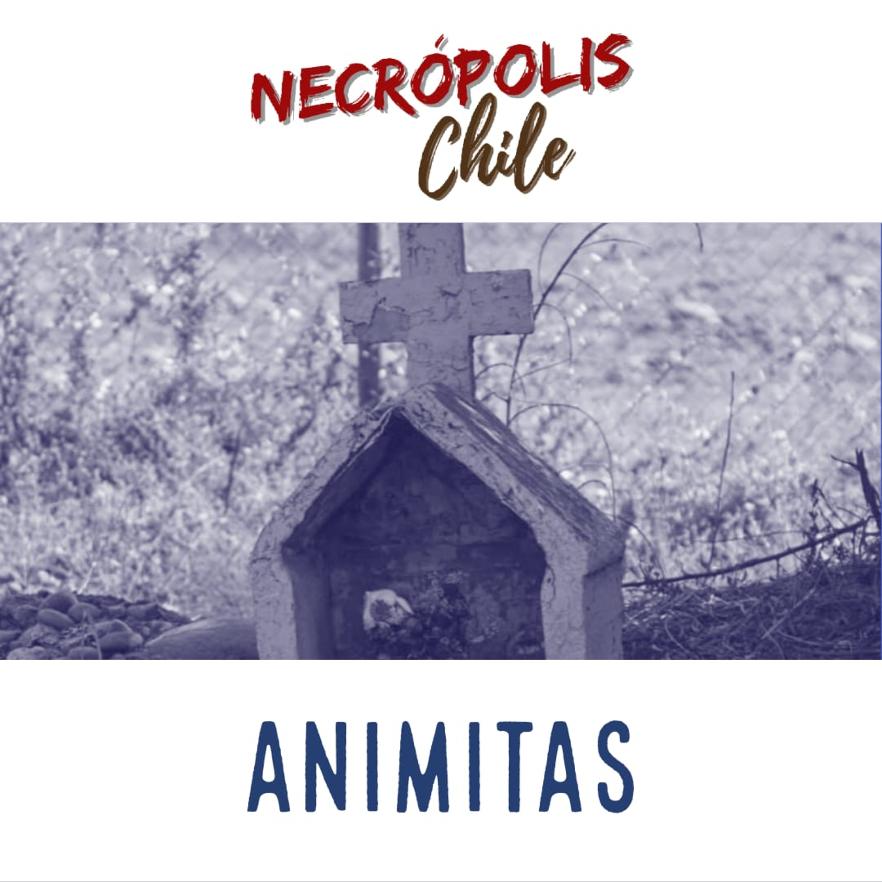 Animitas episode artwork