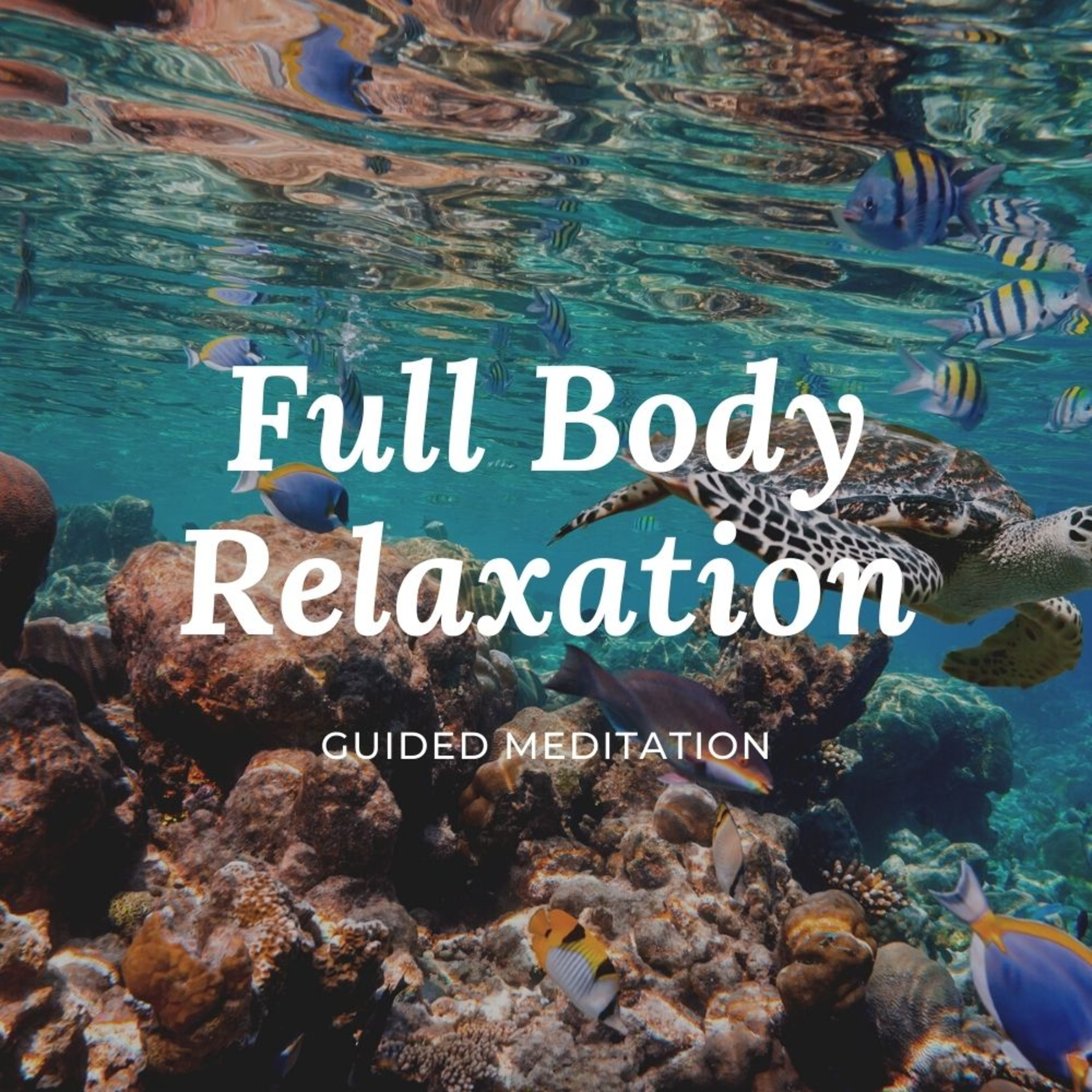 Amazon Warrior Meditations Podcast