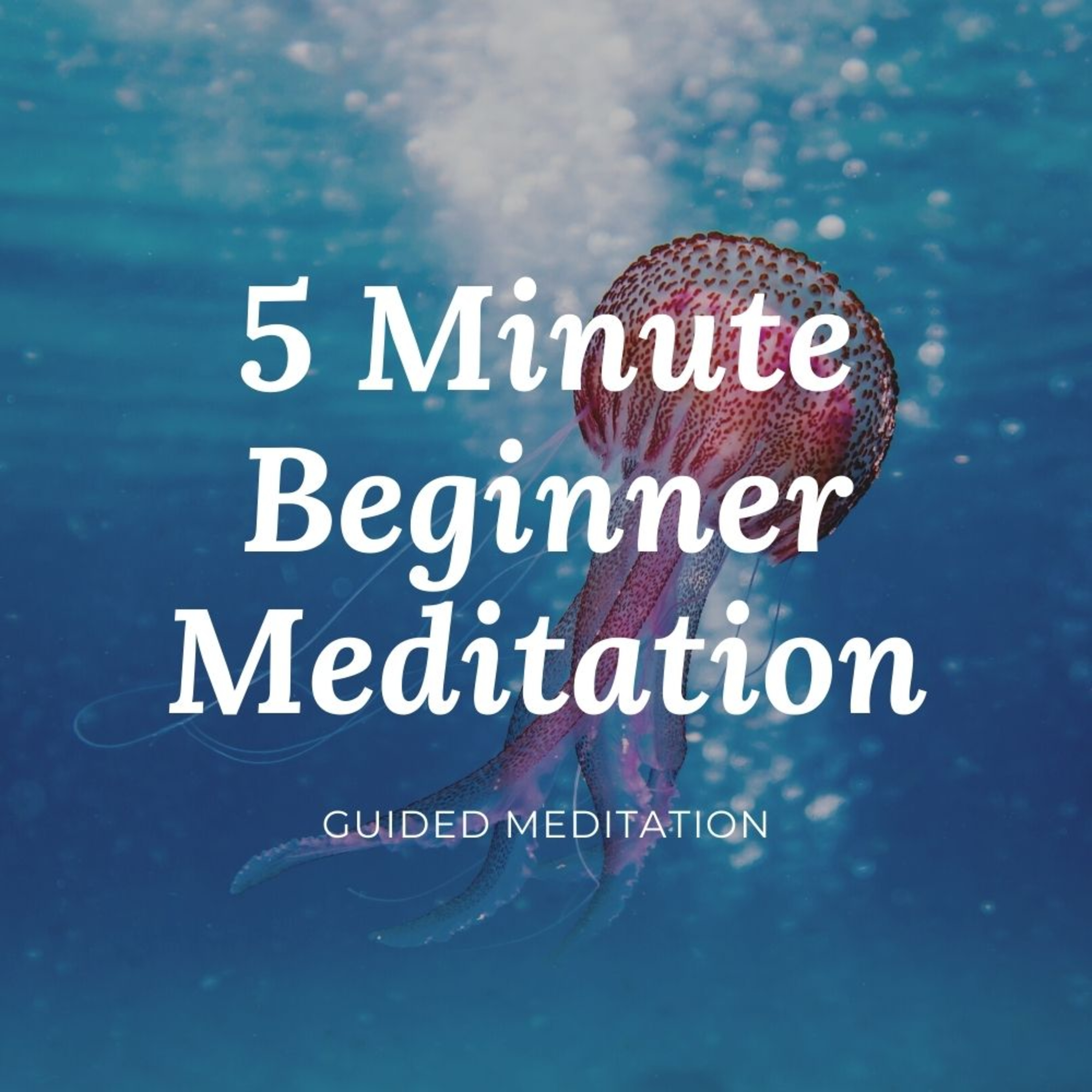 Amazon Warrior Meditations Podcast