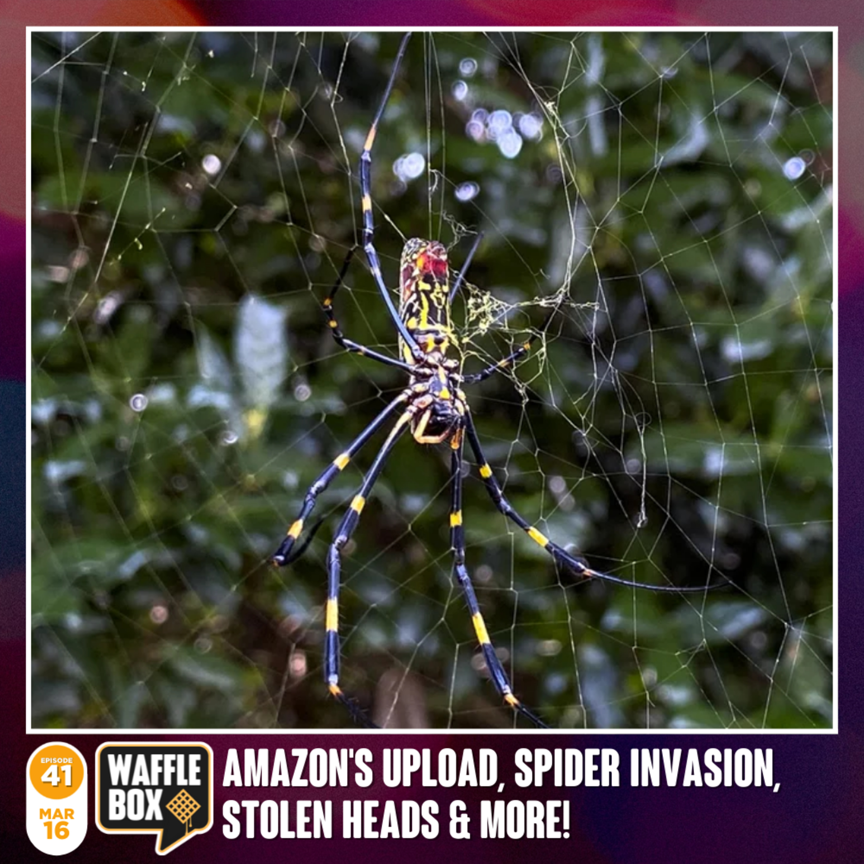 Episode 41 - Kim Kardashian's Advice, Stolen Human Heads, Amazon Prime's Upload and more