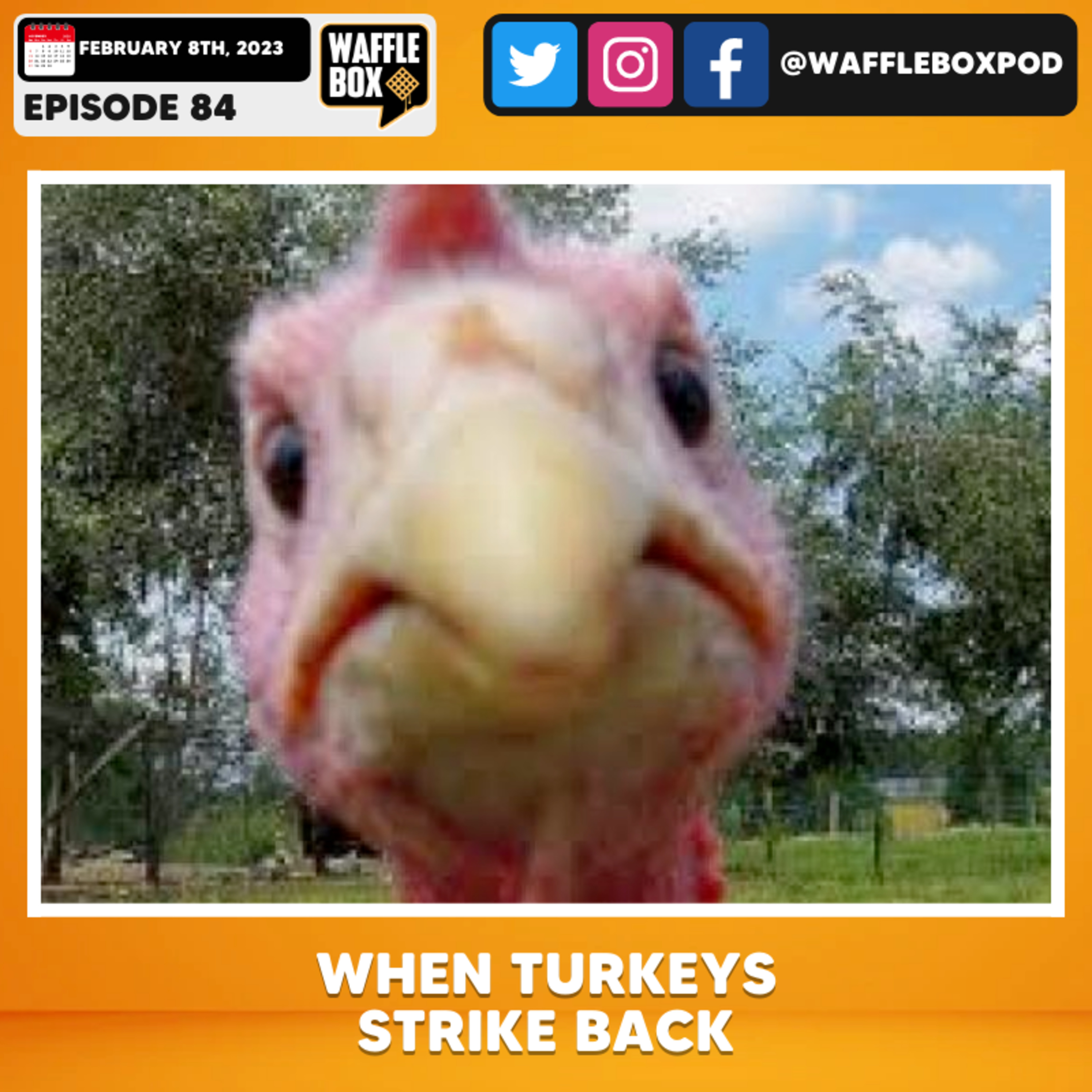 Episode 84 - When Turkeys Strike Back