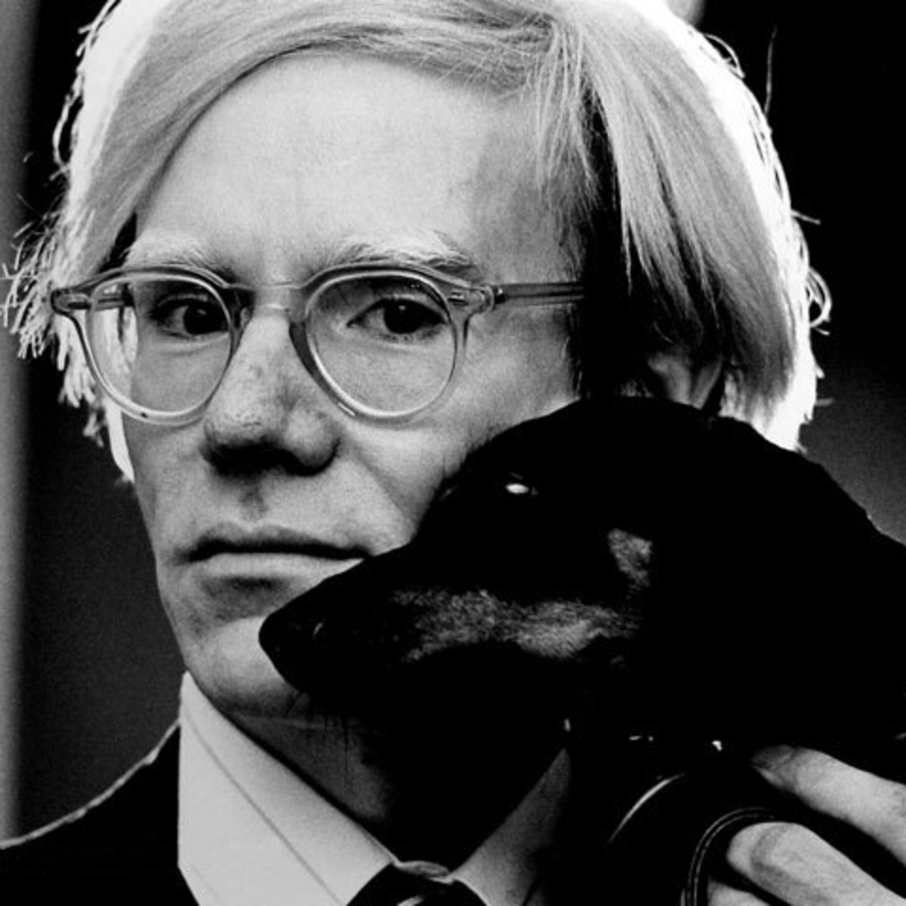Andy Warhol  episode artwork