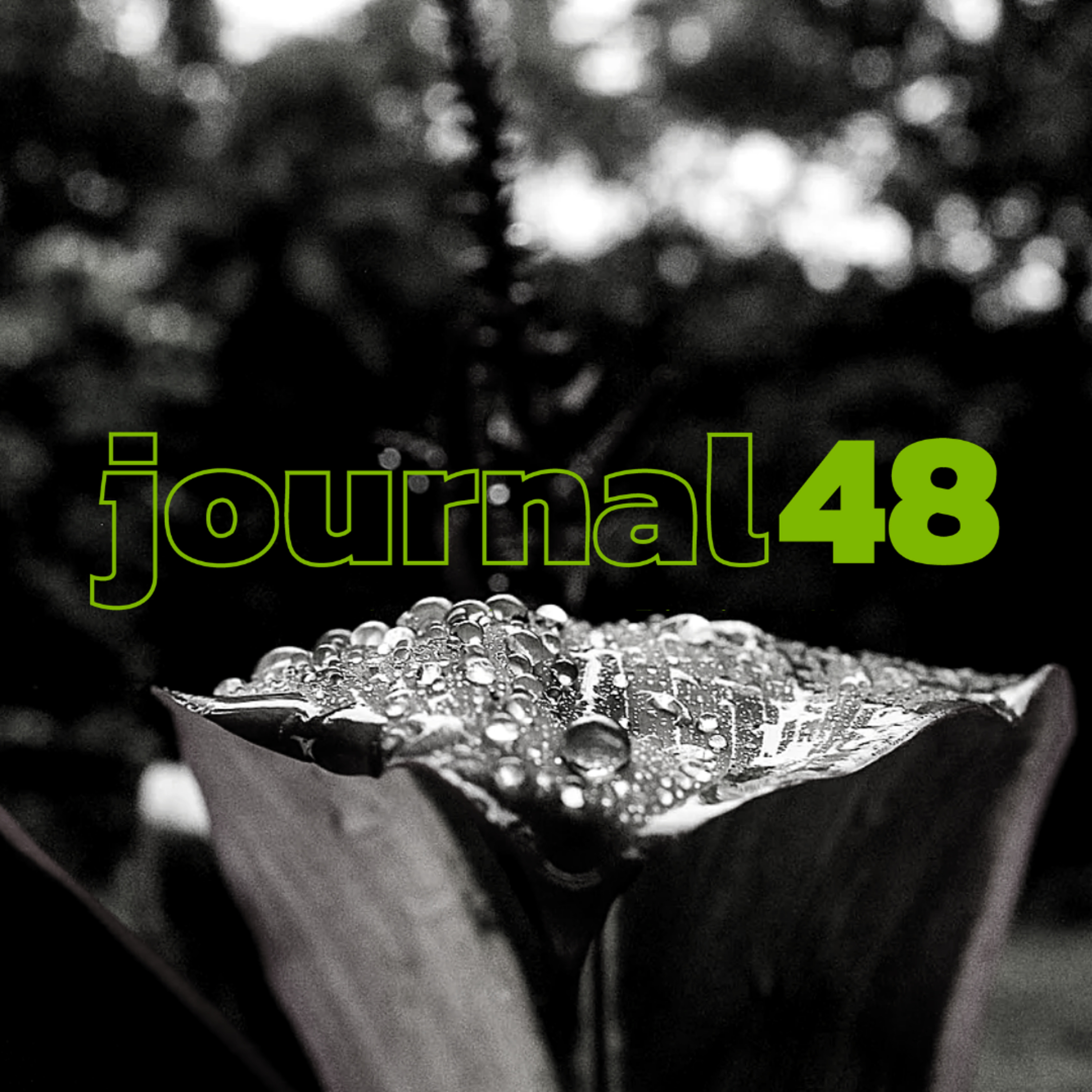 journal48