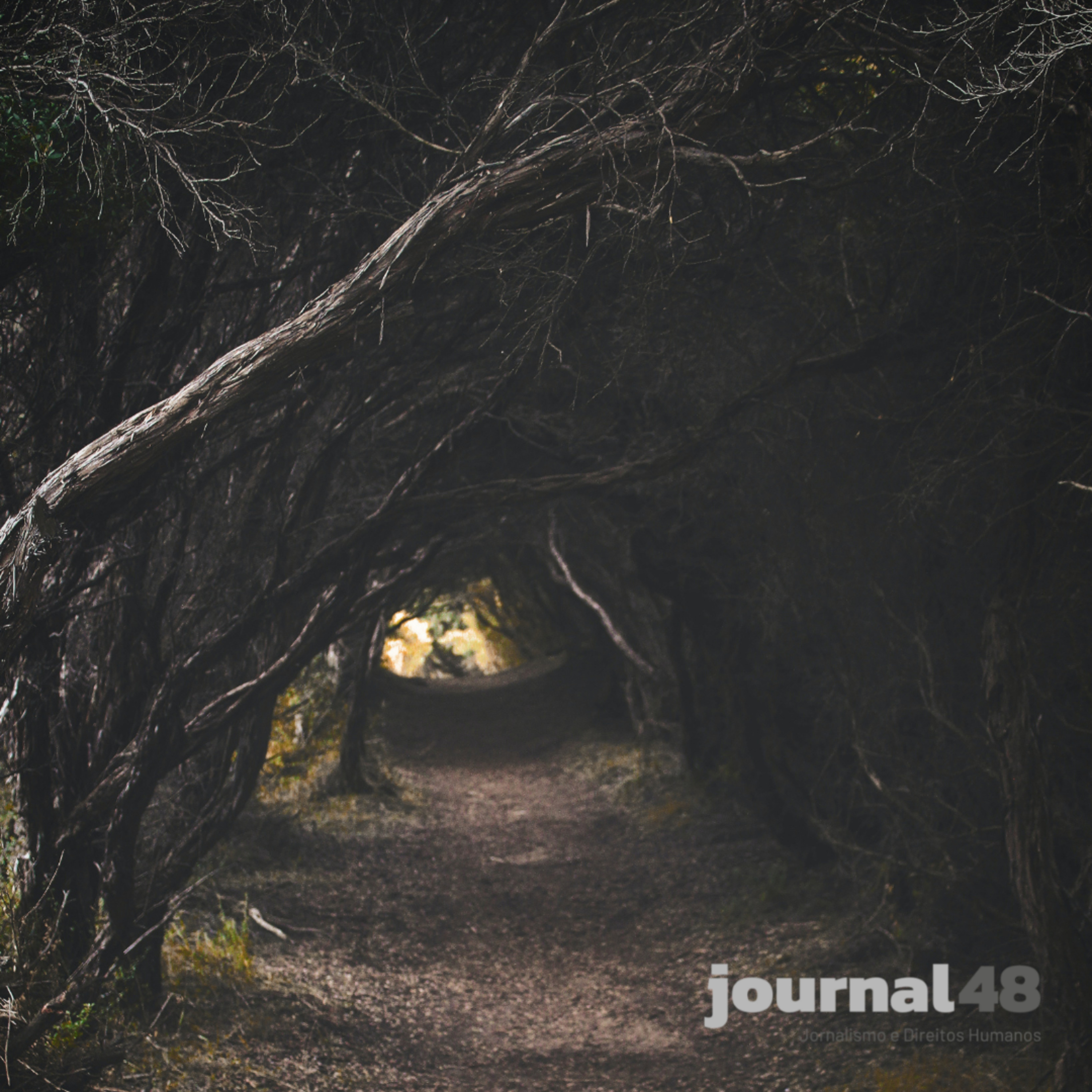 journal48