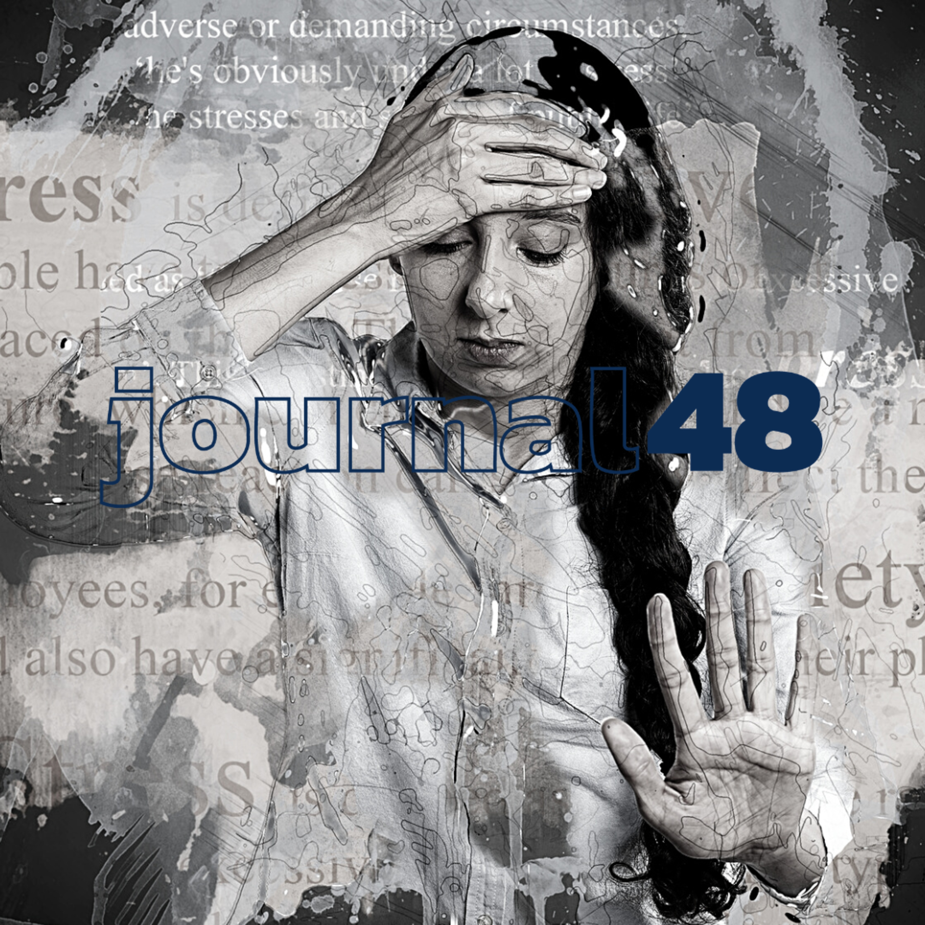 journal48