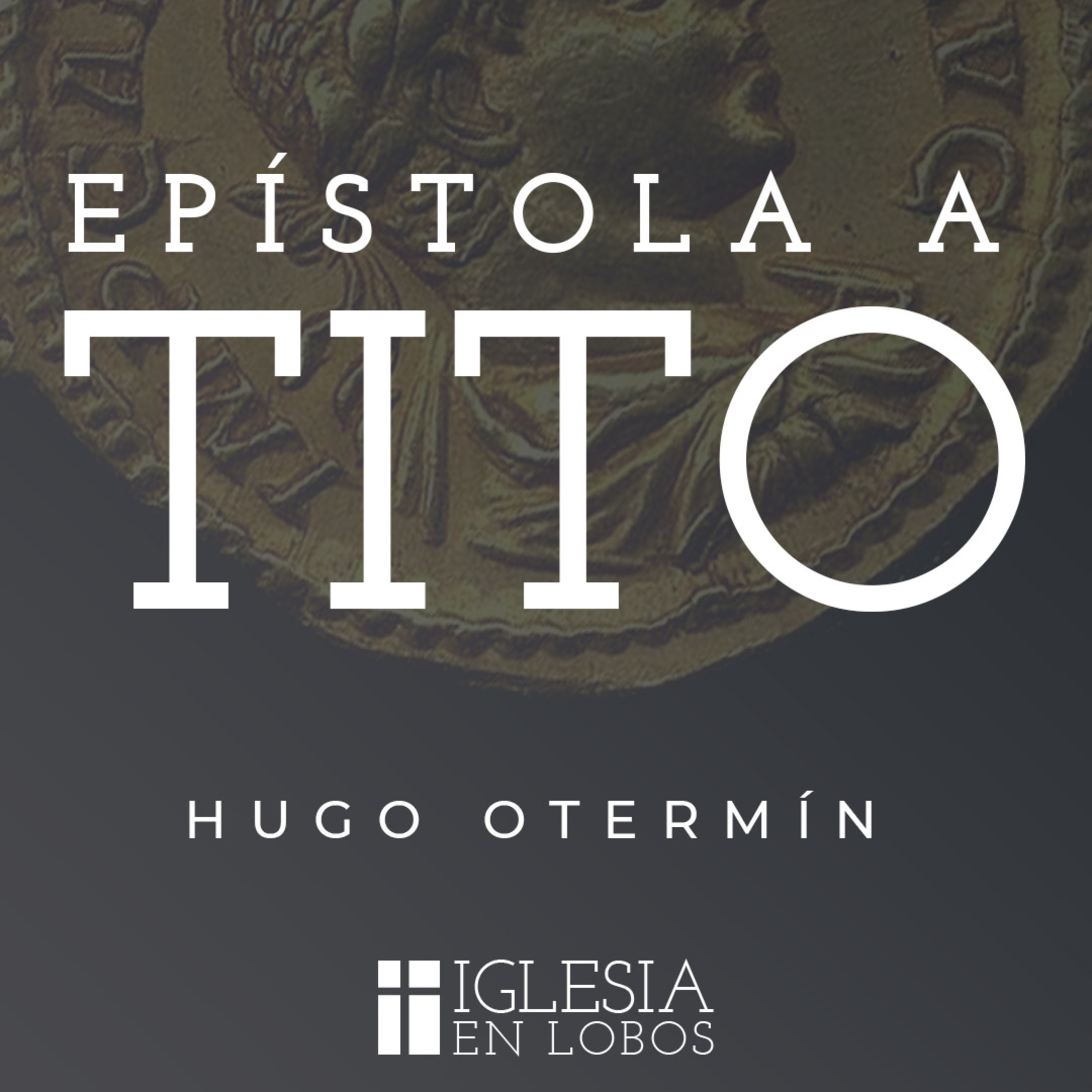 Portada de Sermones de la Iglesia en Lobos