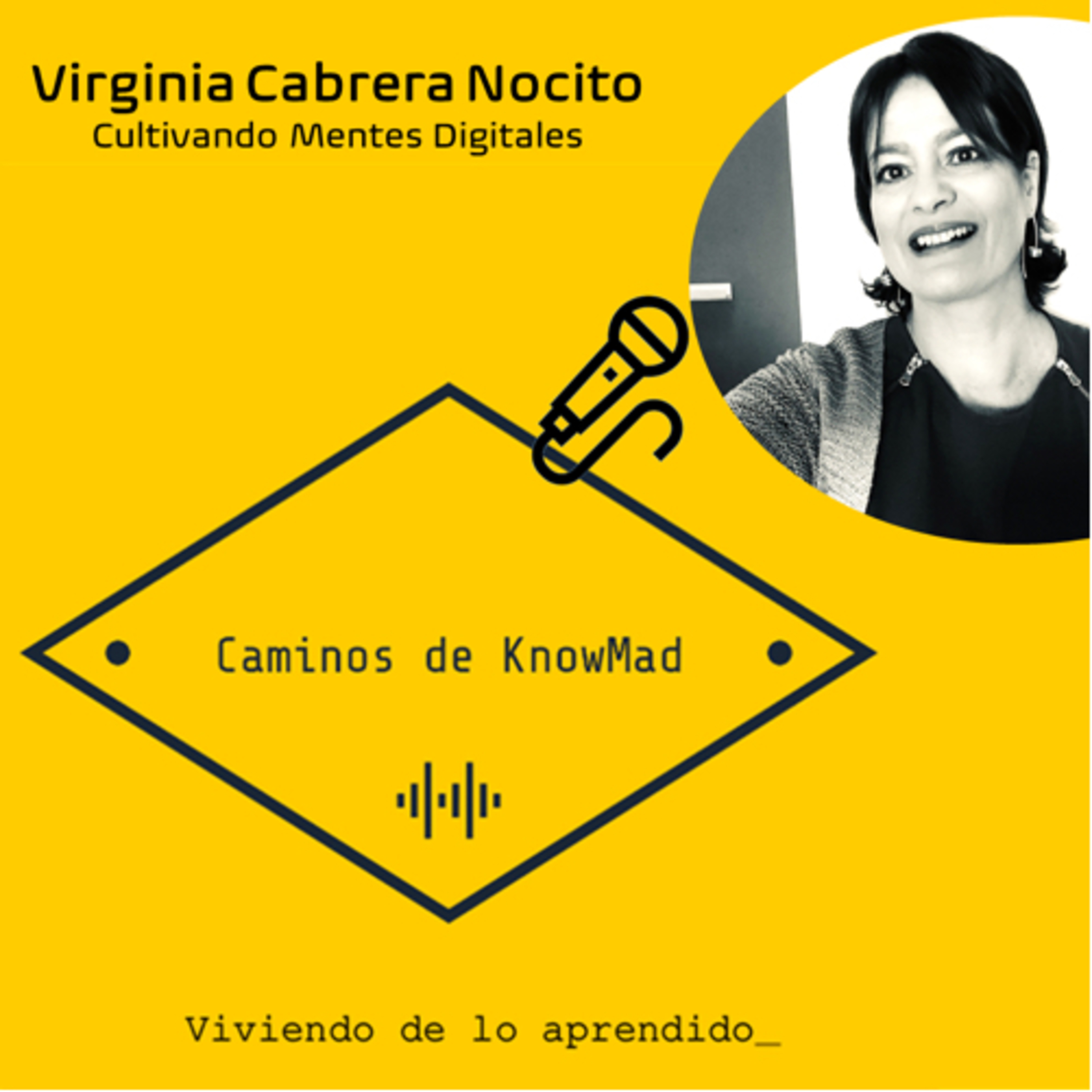 Portada de Caminos de Knowmad