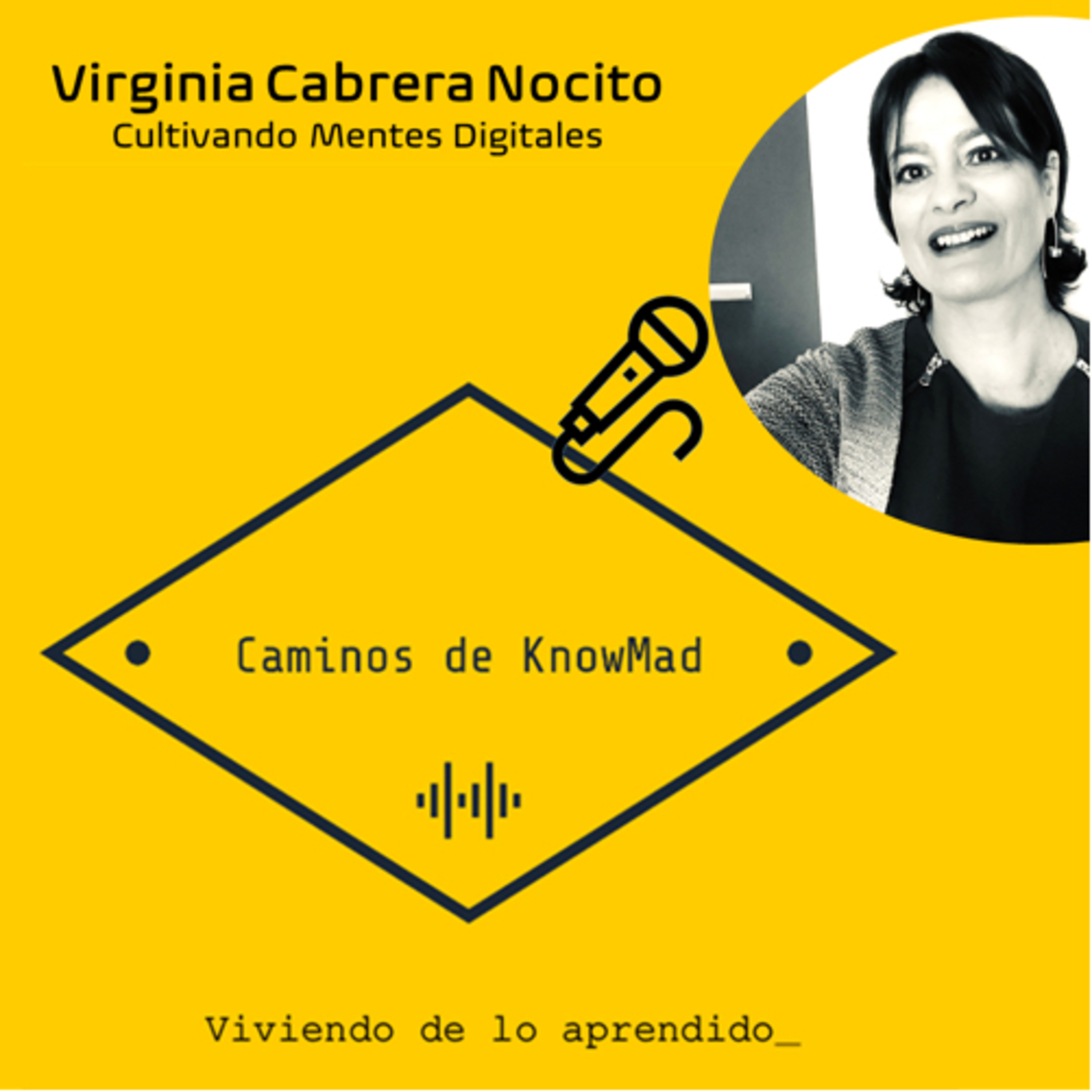Portada de Caminos de Knowmad