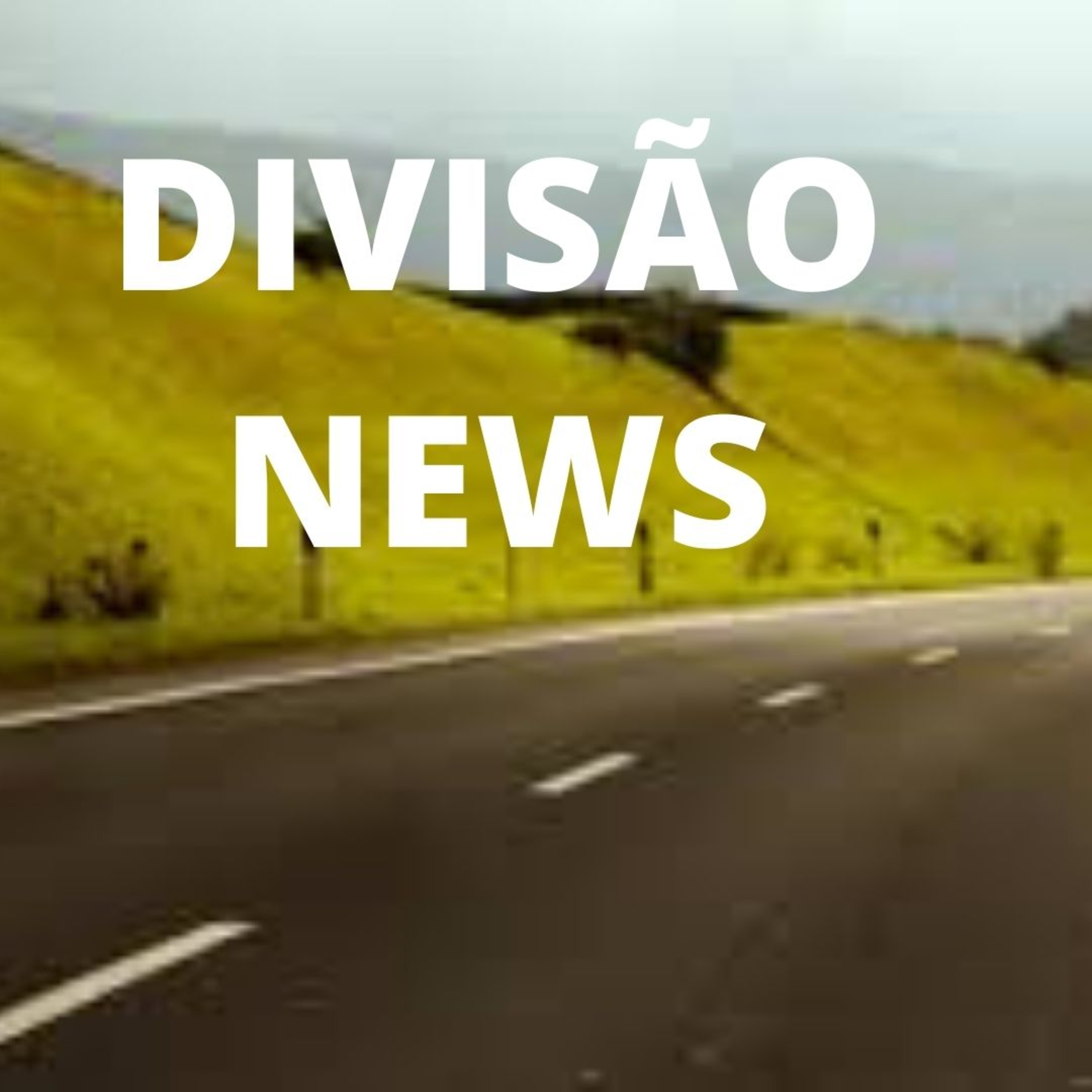 Divisão Automotiva