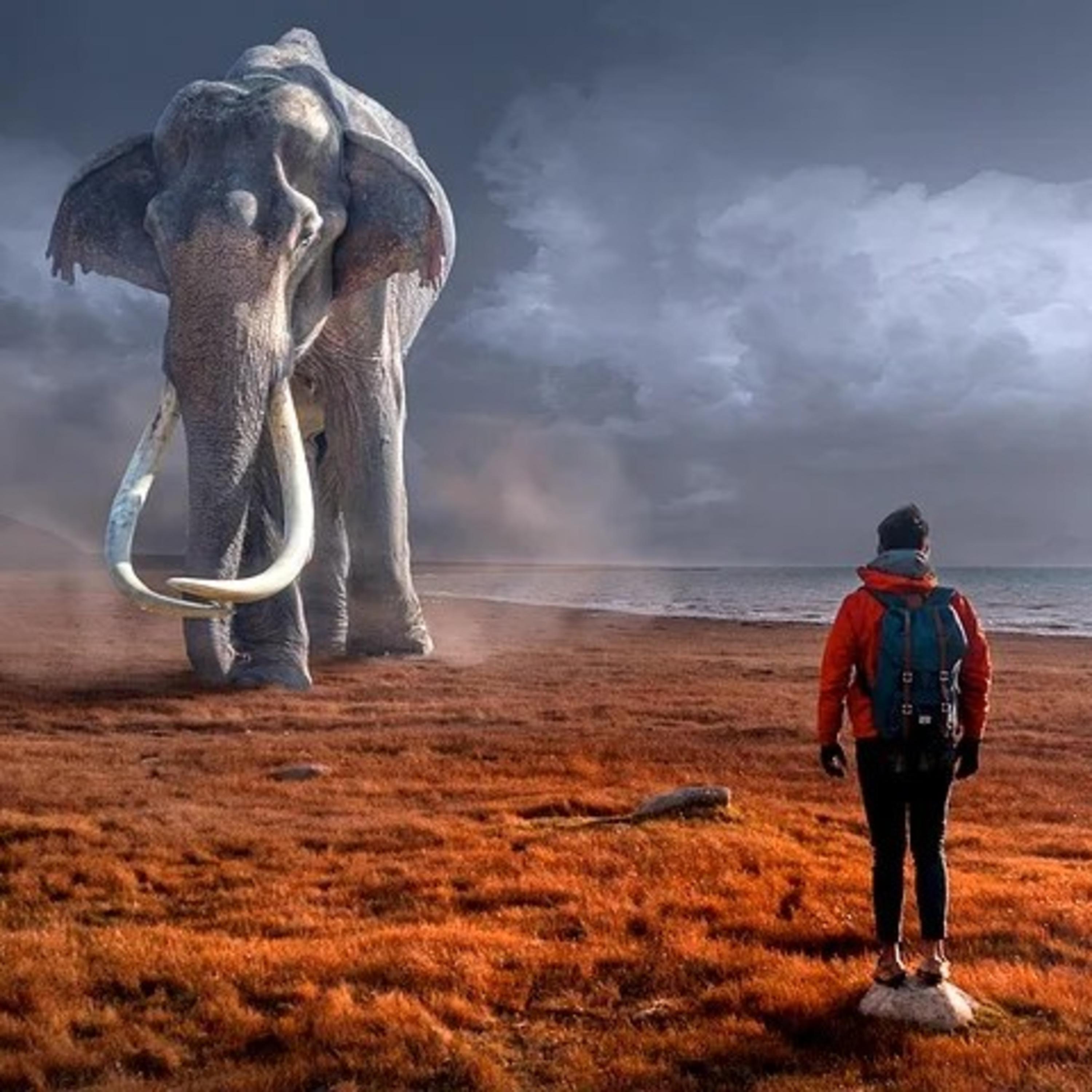 SONHOS ESPIRITUAIS episode artwork